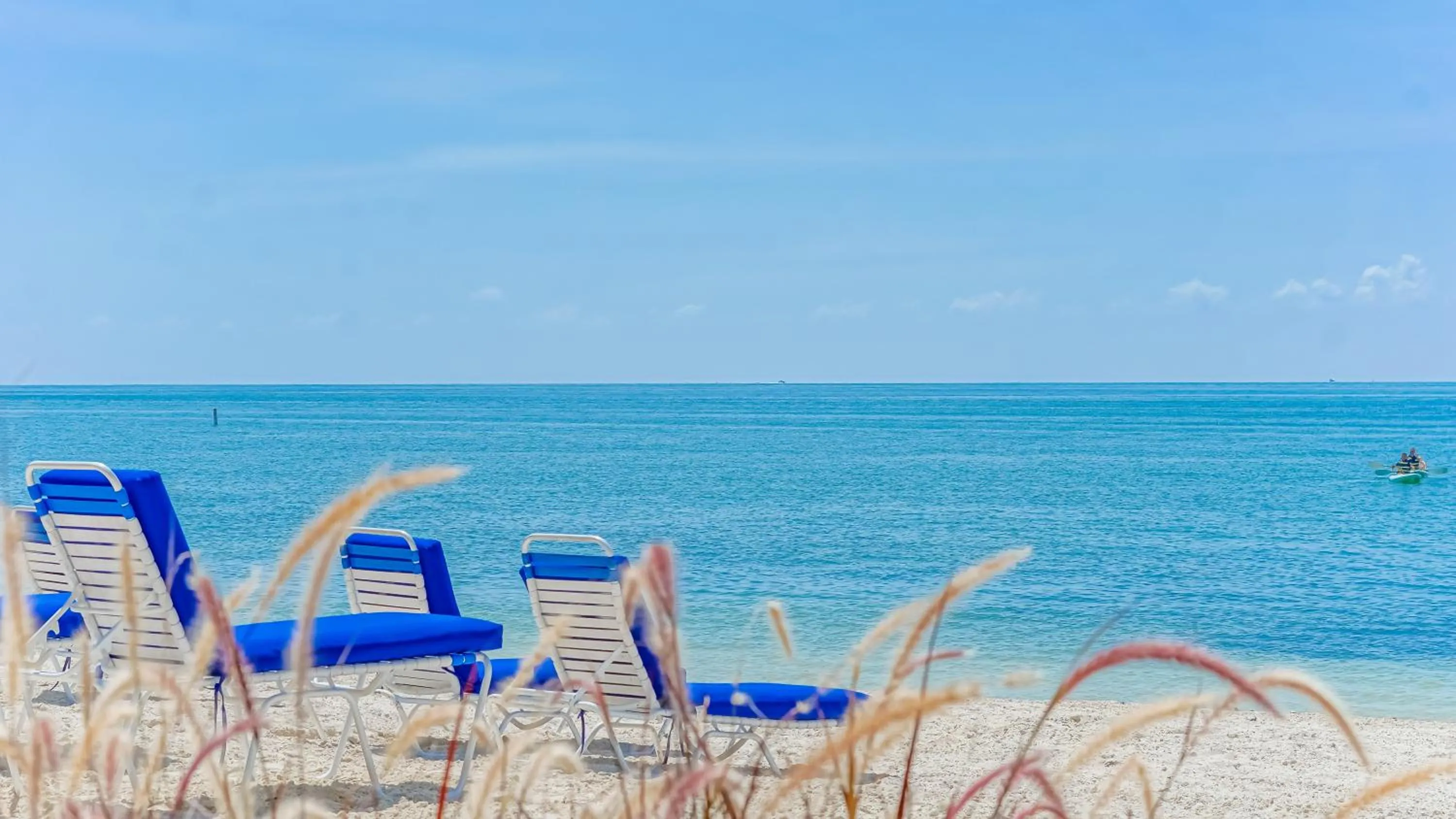 Beach in Glunz Ocean Beach Hotel and Resort