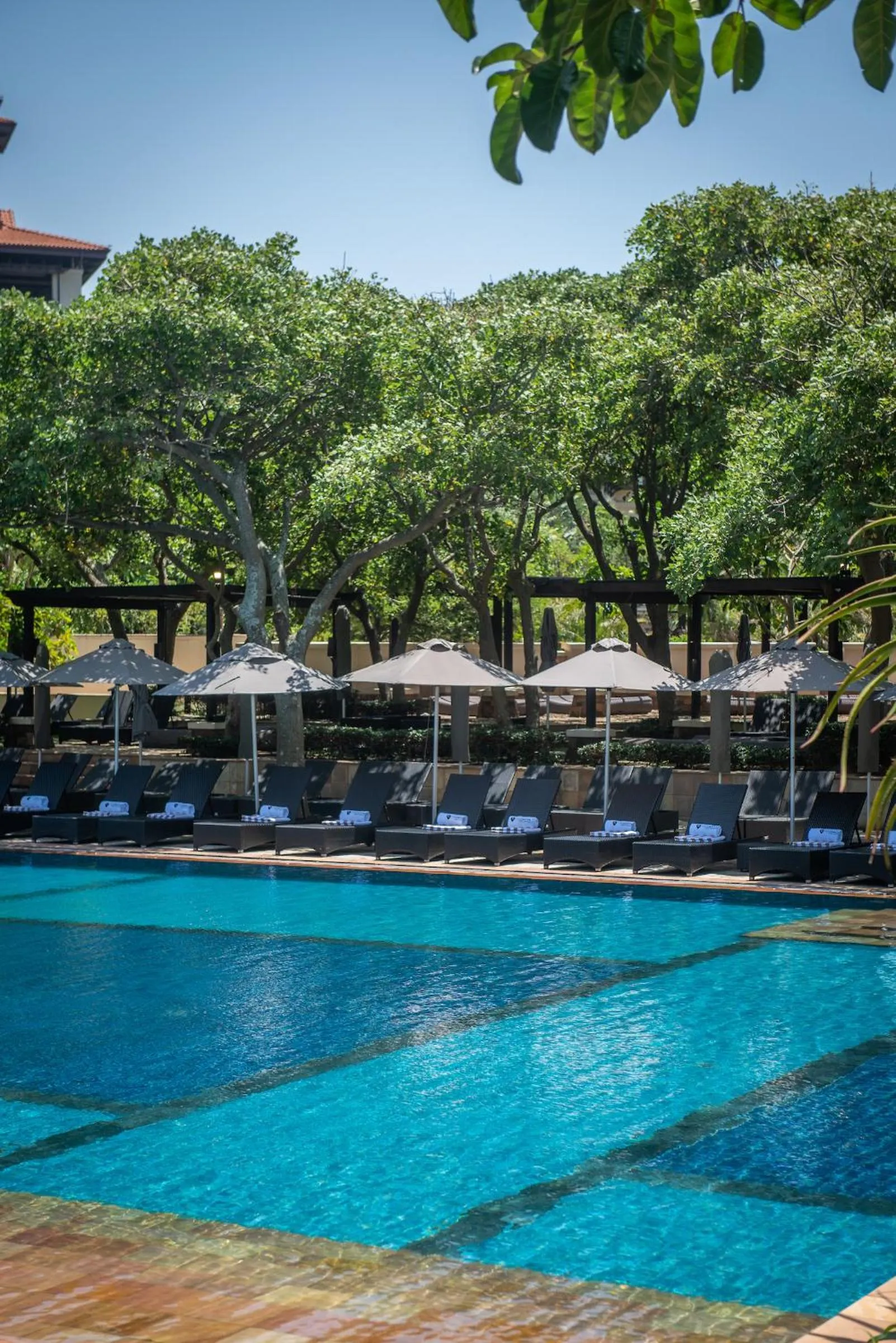 Balcony/Terrace in The Capital Zimbali