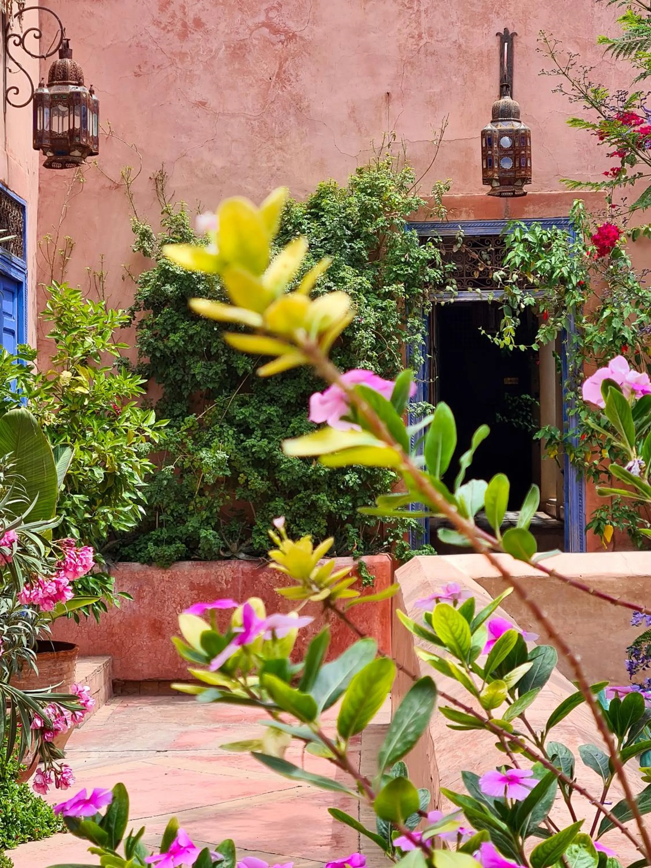 Garden view in DAR CHIBANIA