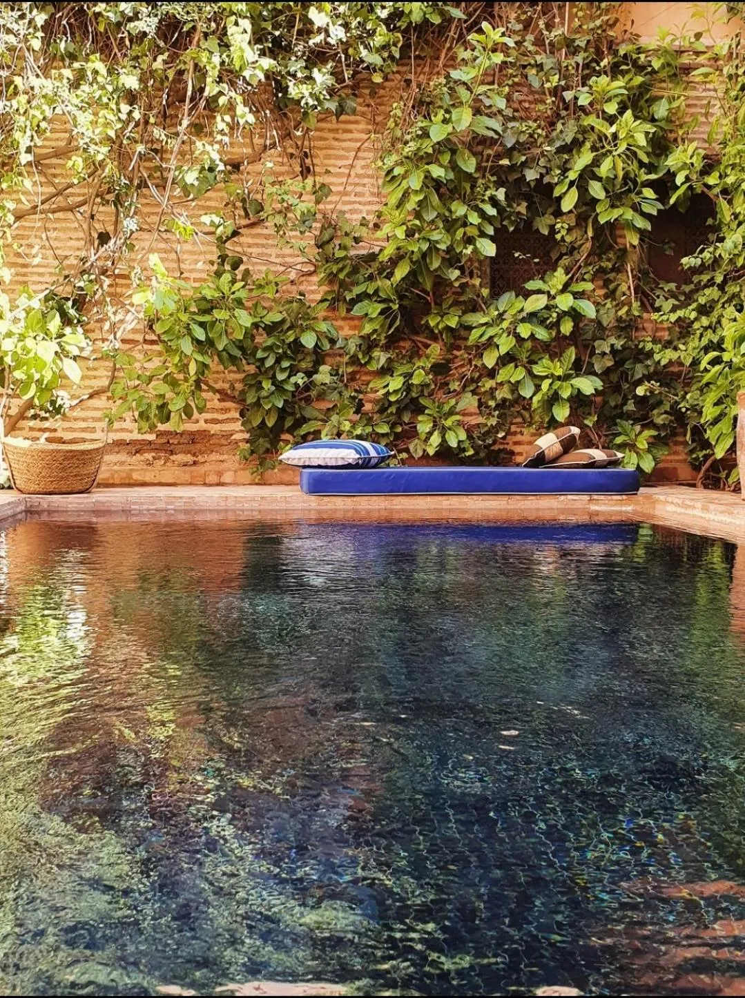 Swimming pool in DAR CHIBANIA