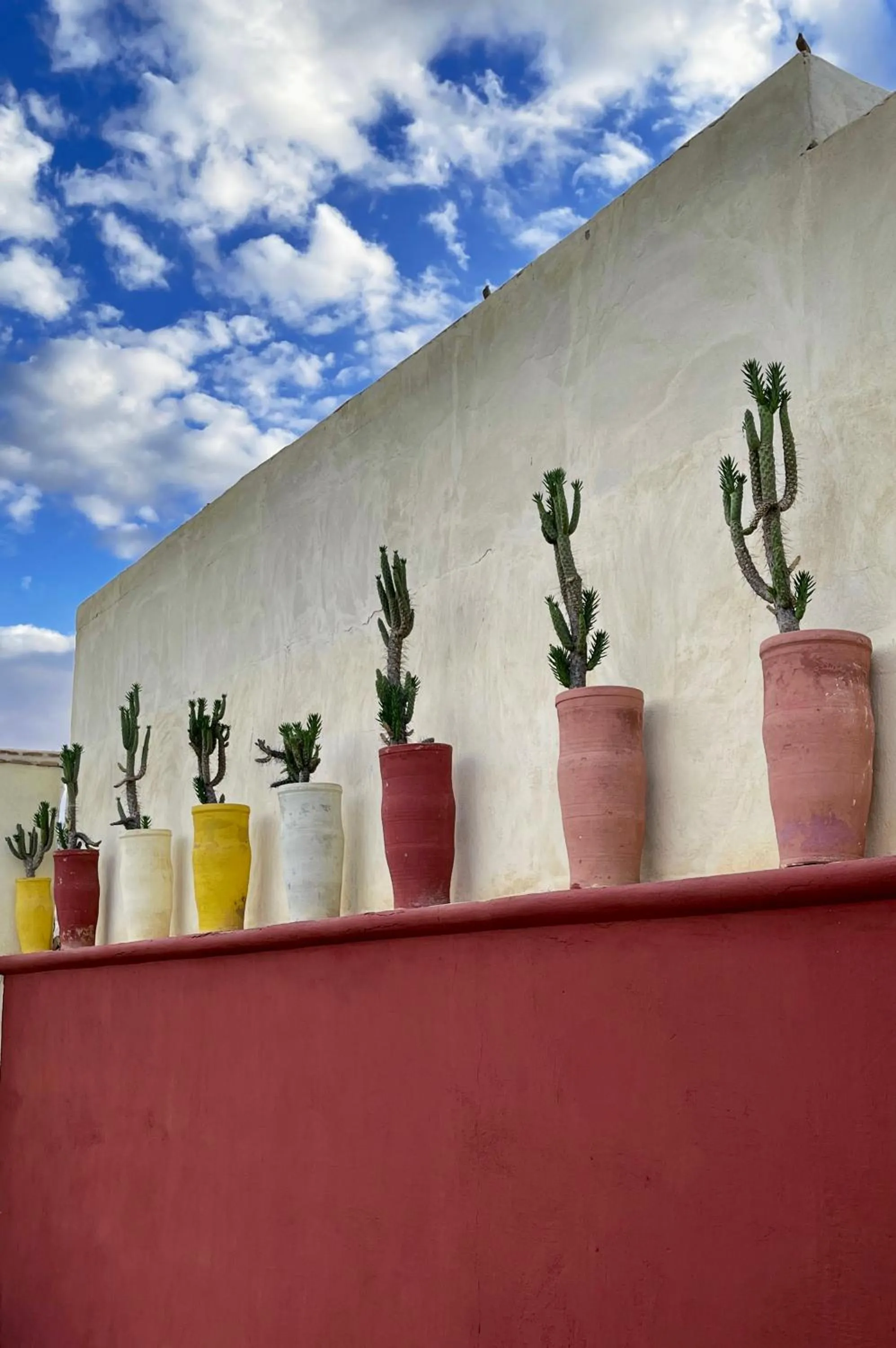 Patio in DAR CHIBANIA