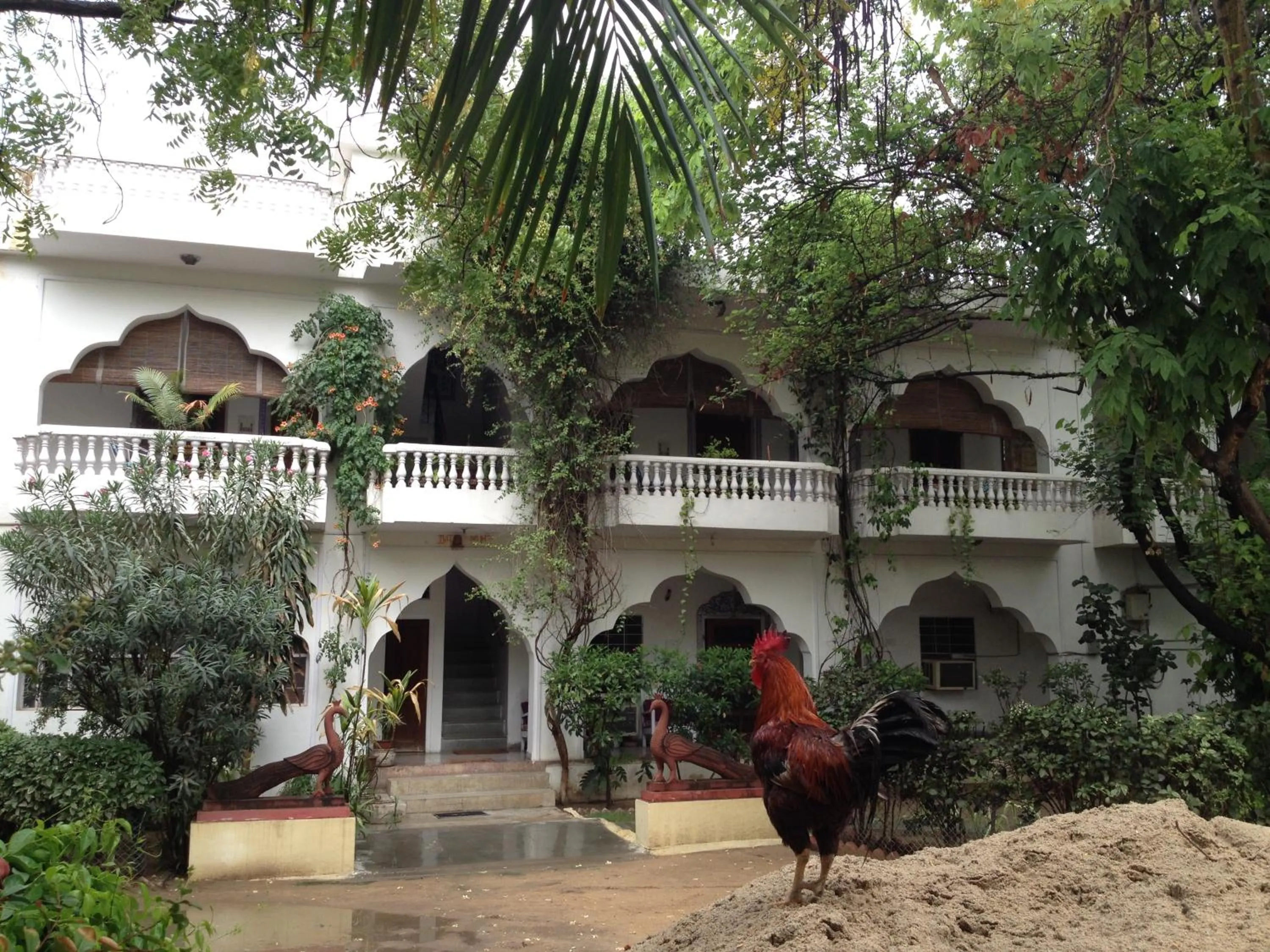 Property building in Shahar Palace