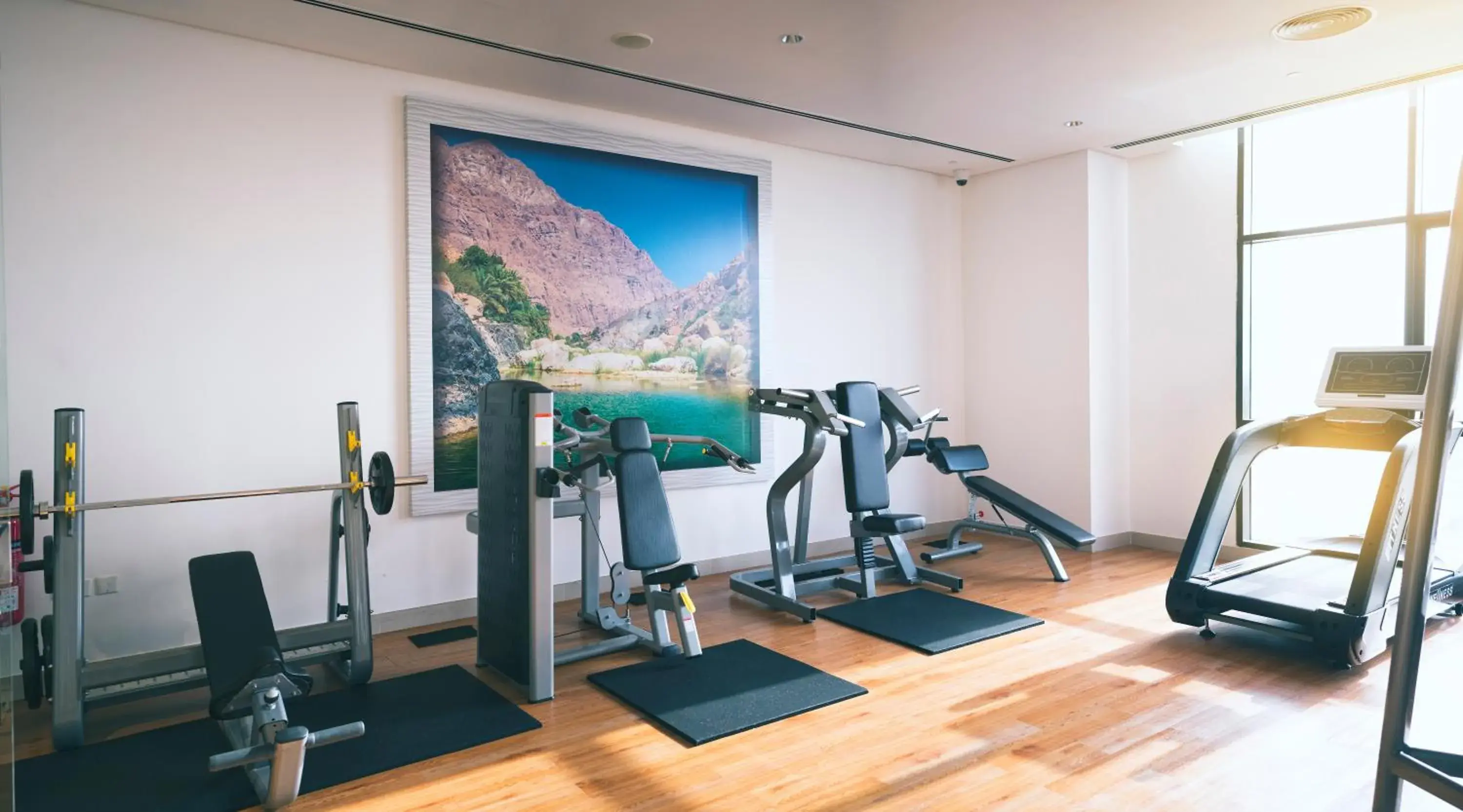 Fitness centre/facilities in Boulevard Hotel Oman Fitness centre/facilities in Boulevard Hotel Oman