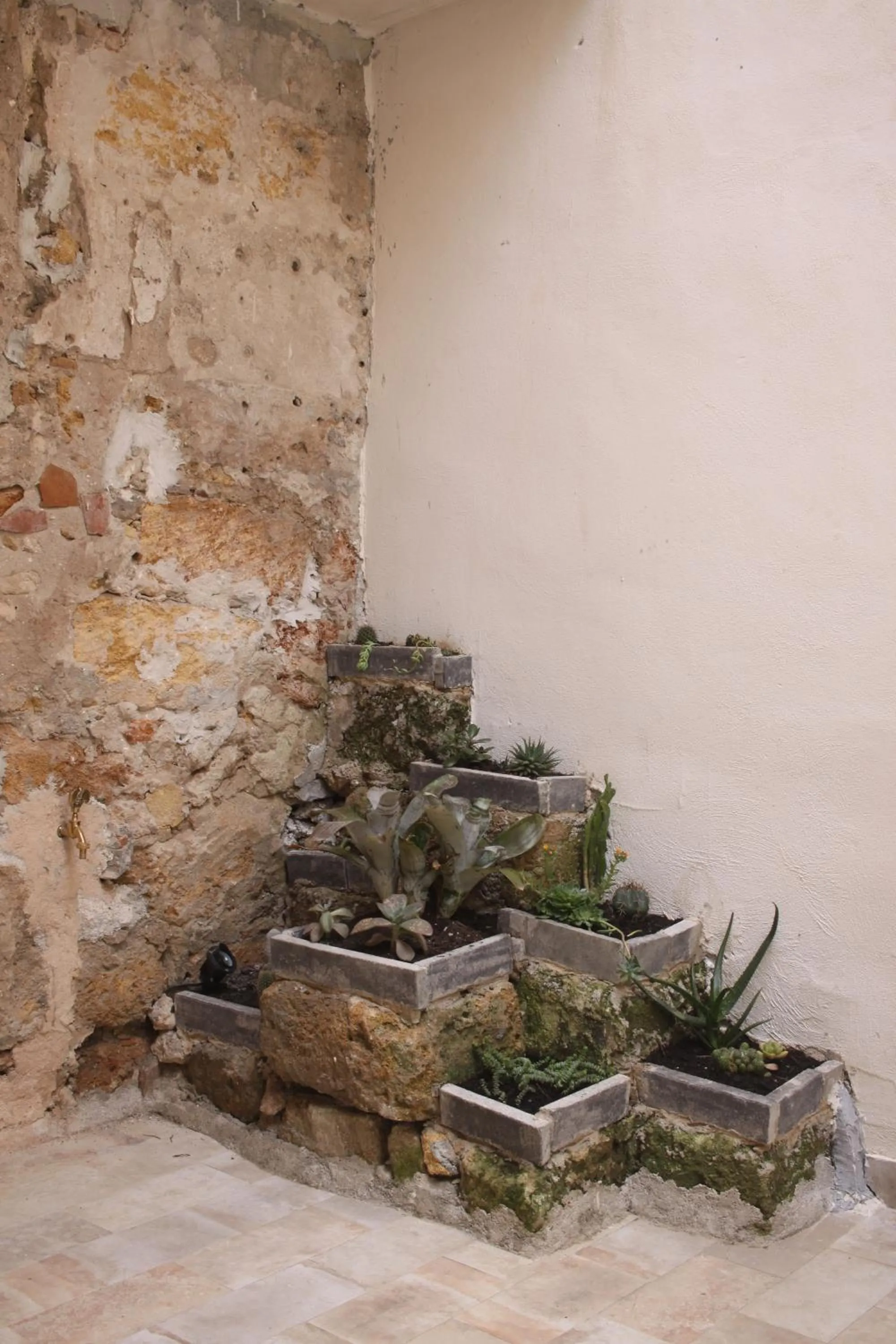 Tufoletto Apartment