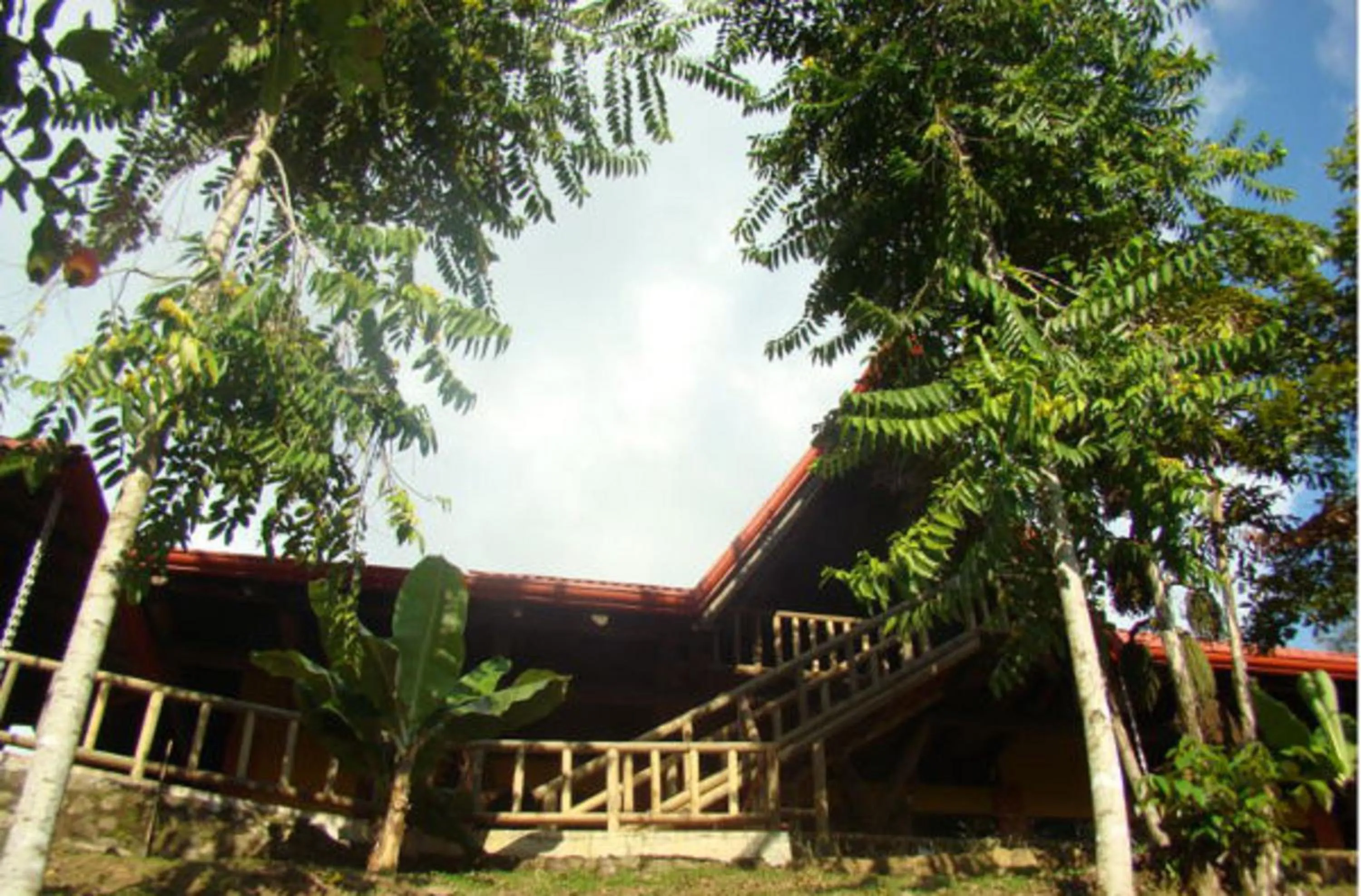 Garden view in Hotel Samsara