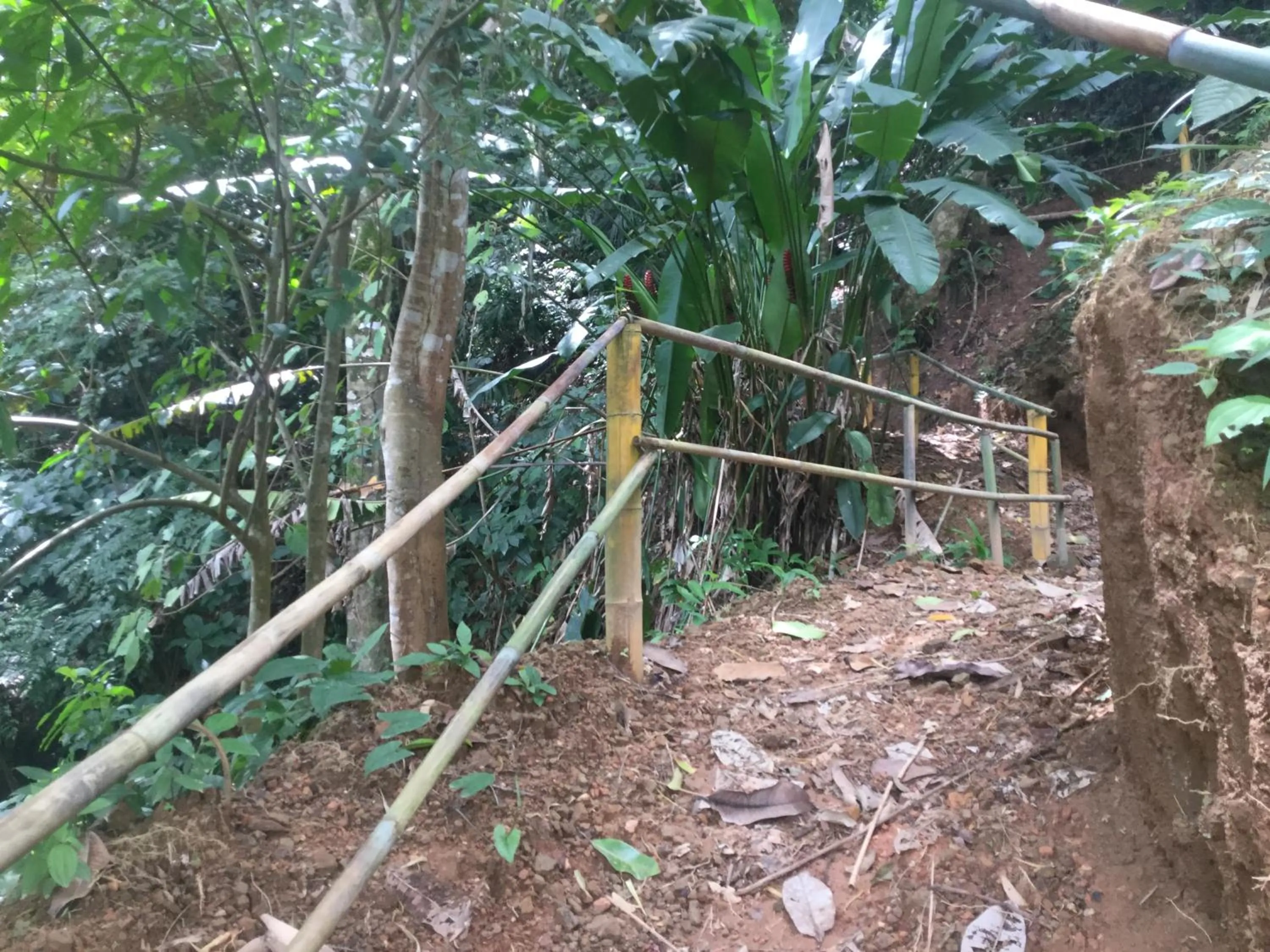 Hiking in Hotel Samsara