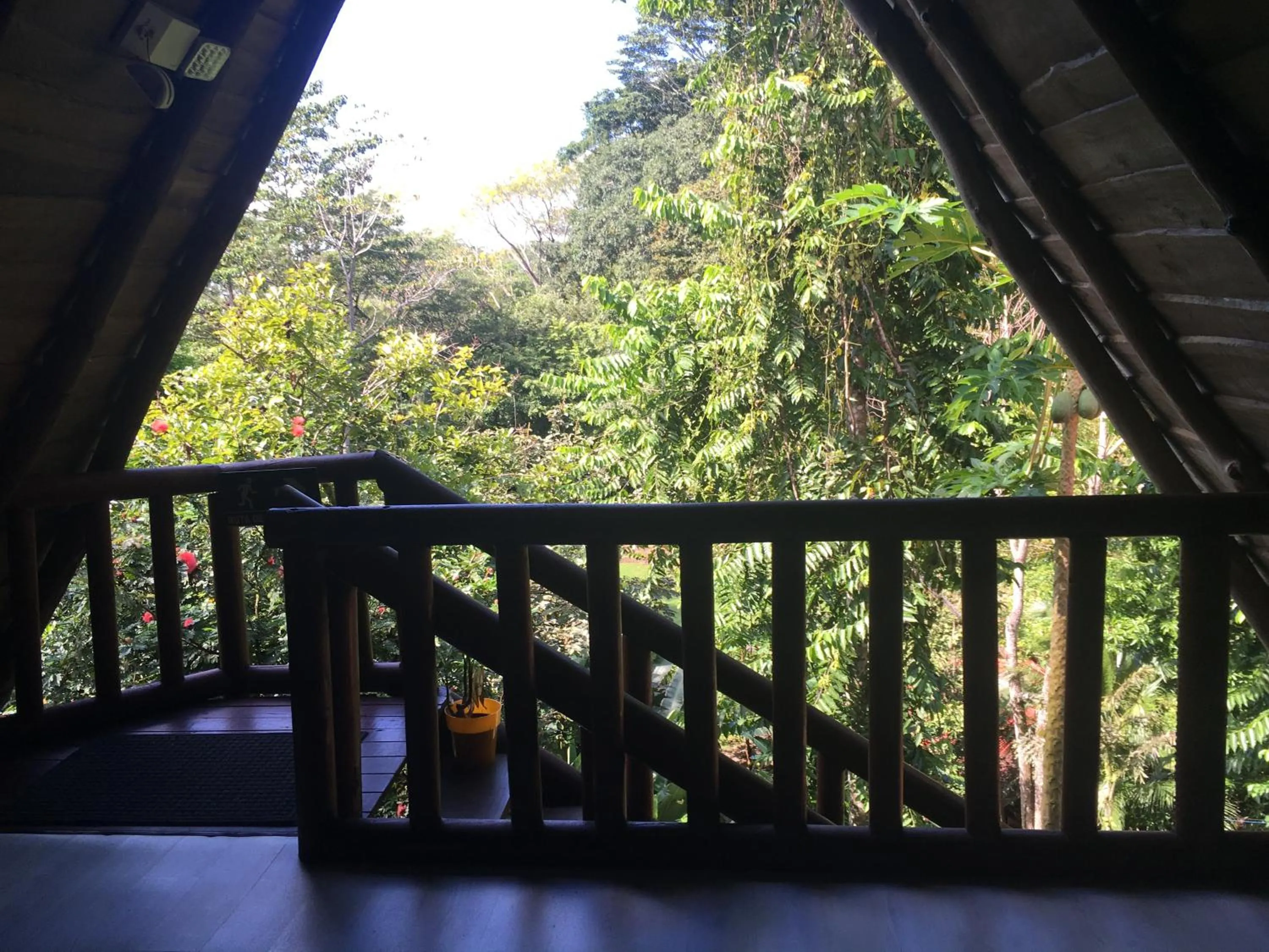 Balcony/Terrace in Hotel Samsara