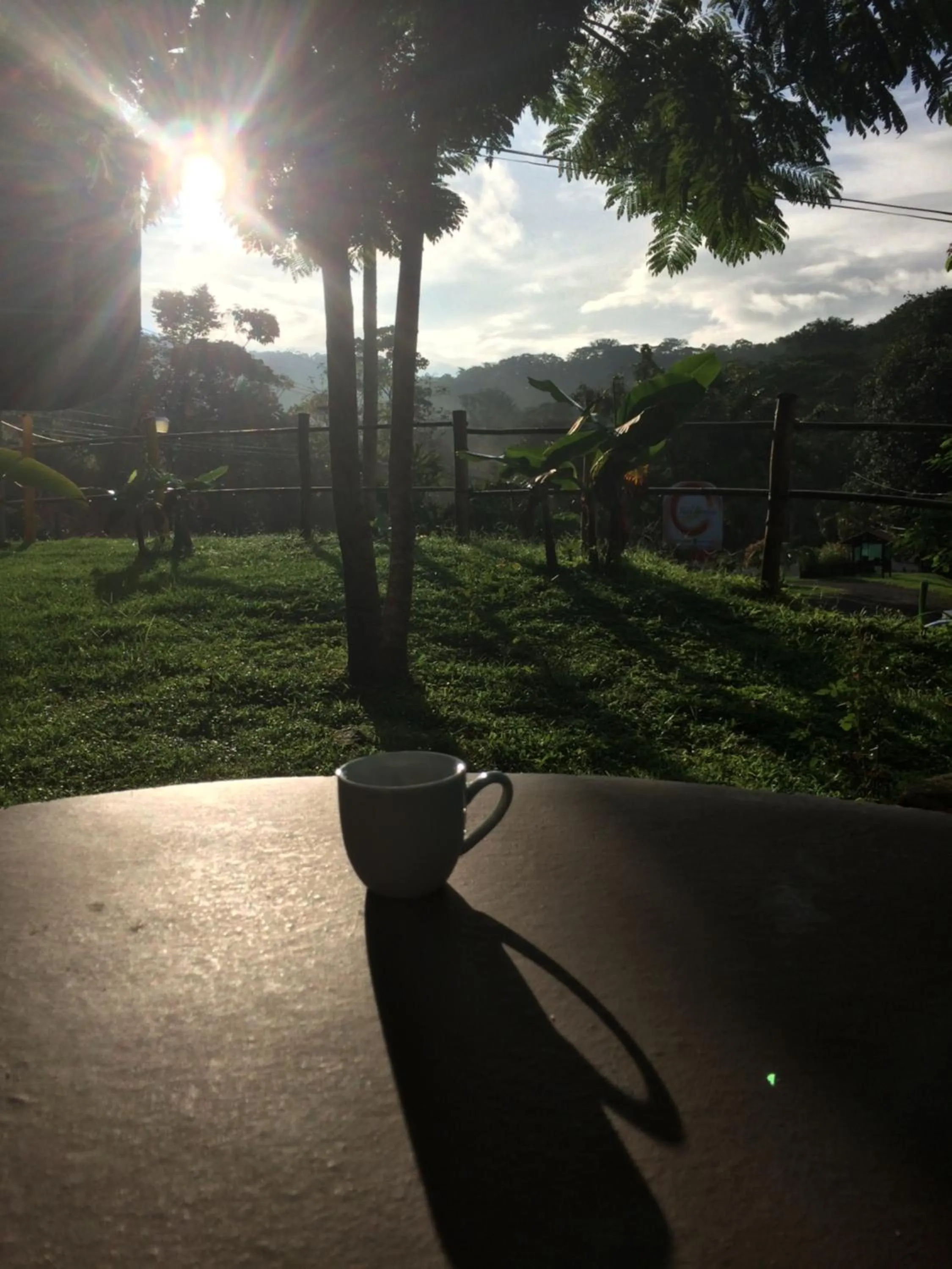 Food and drinks in Hotel Samsara