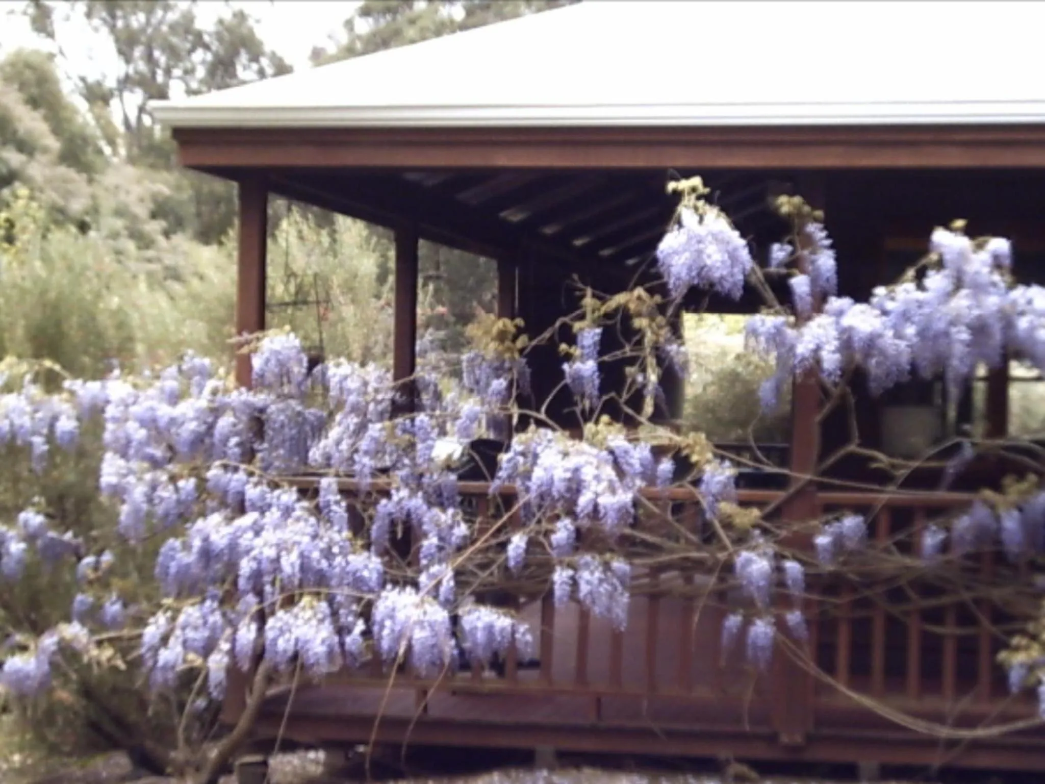 Redgum Hill Country Retreat