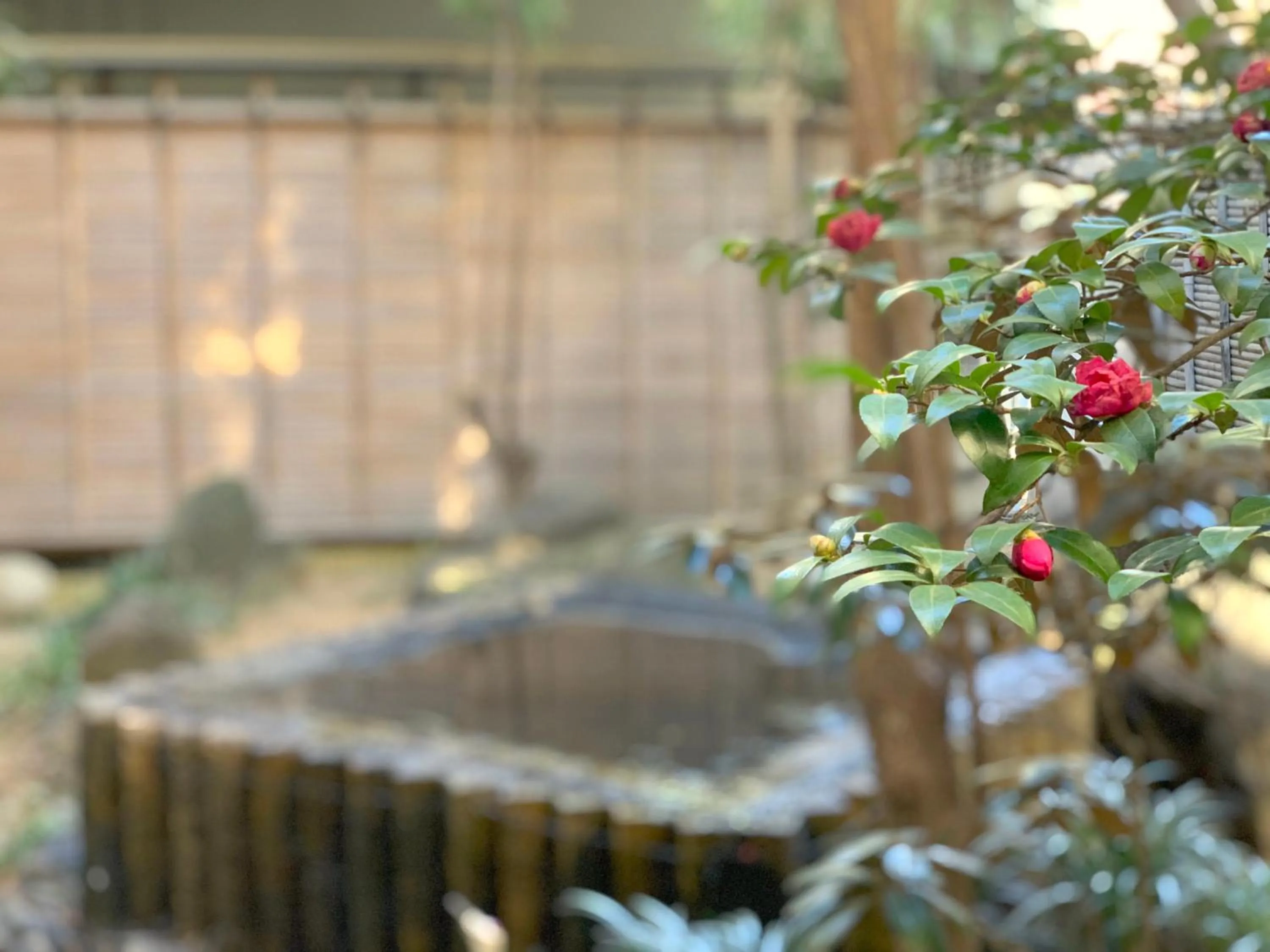 Garden in Hotel Kimiyoshi