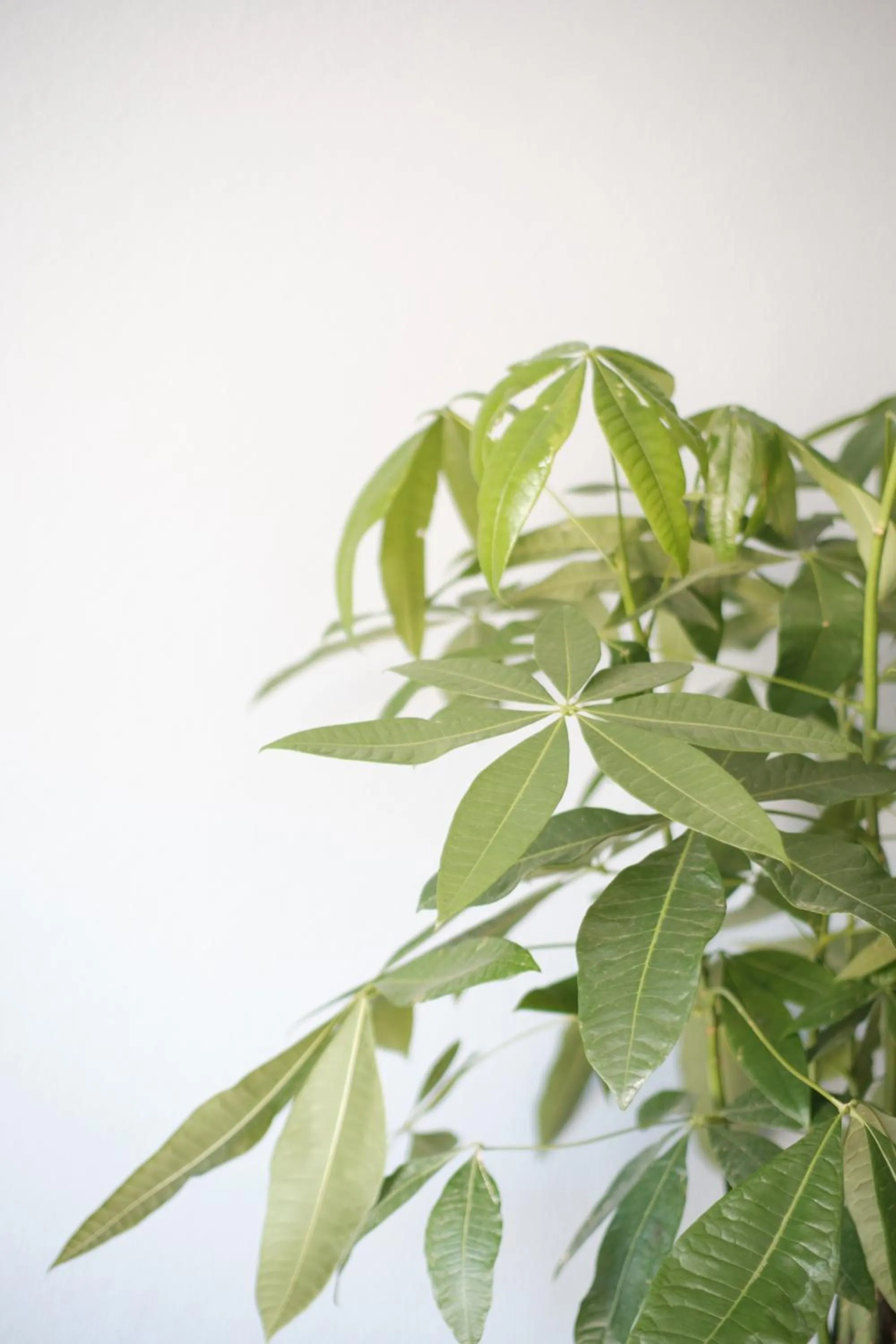 Decorative detail in HOSTEL Rua 35