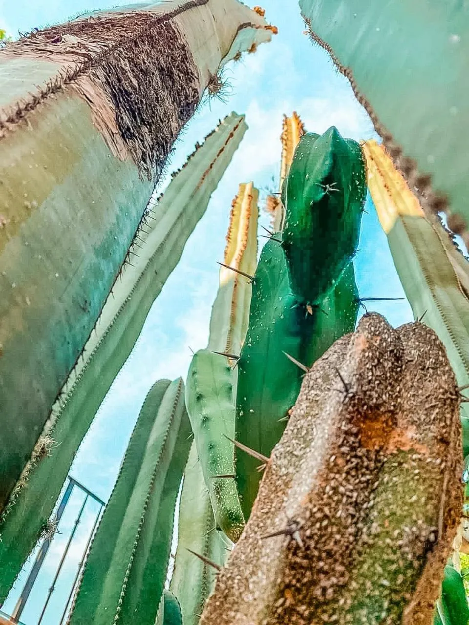 Natural landscape in Hotel Boutique Santo Cuervo