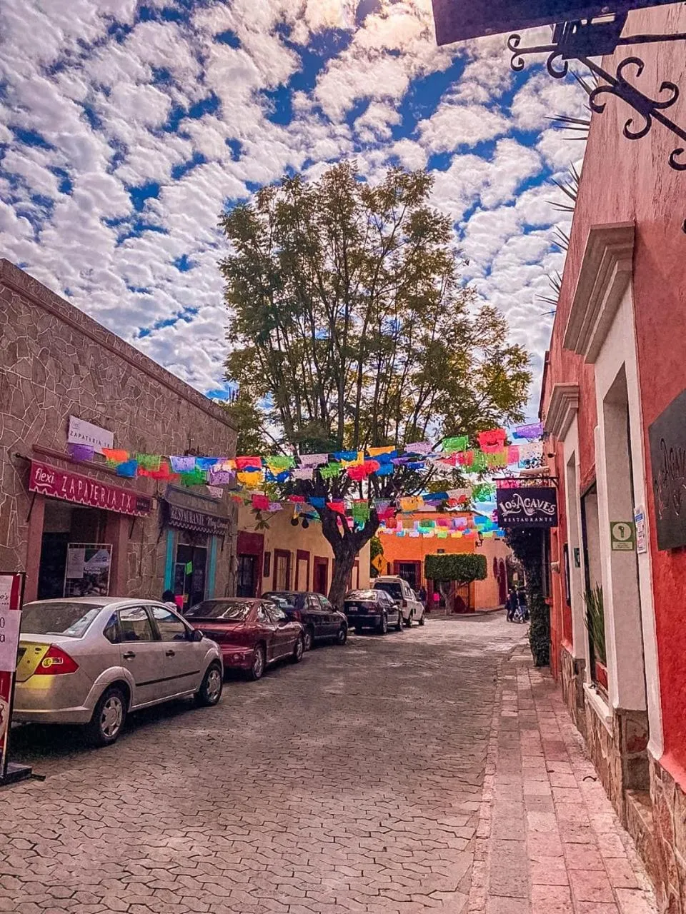 Natural landscape in Hotel Boutique Santo Cuervo