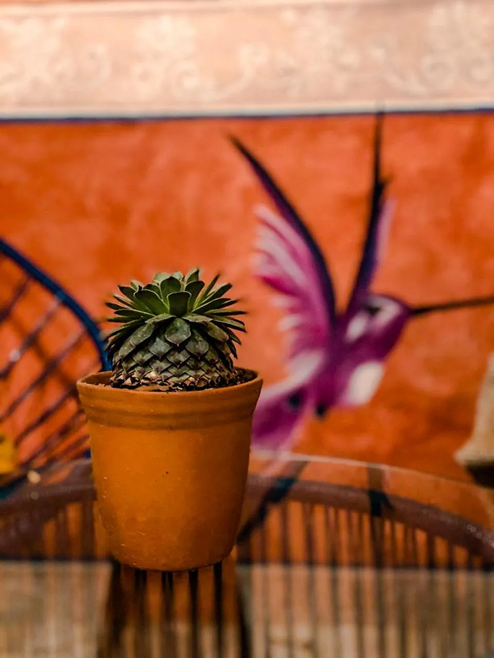 Patio in Hotel Boutique Santo Cuervo