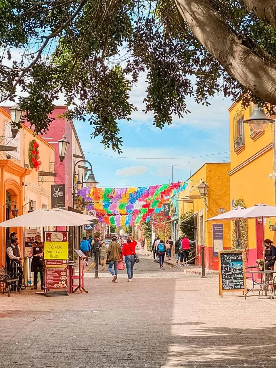 Natural landscape in Hotel Boutique Santo Cuervo