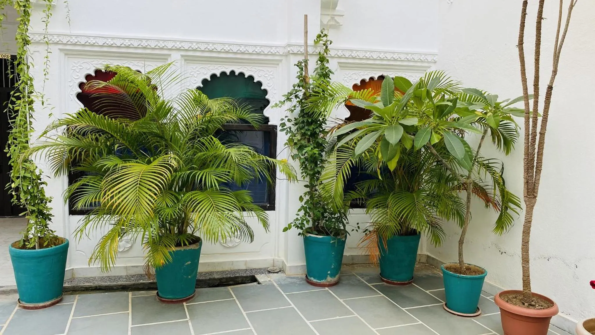 Inner courtyard view in Kotra Haveli A Boutique Hotel by Lake Pichola