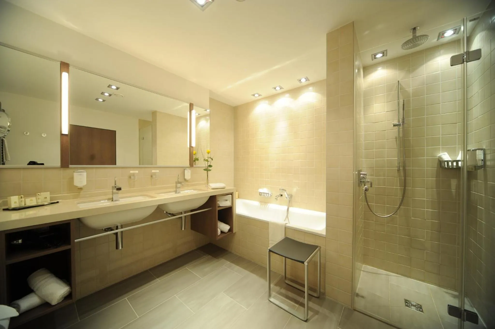 Shower in Göbel´s Vital Hotel Bad Sachsa