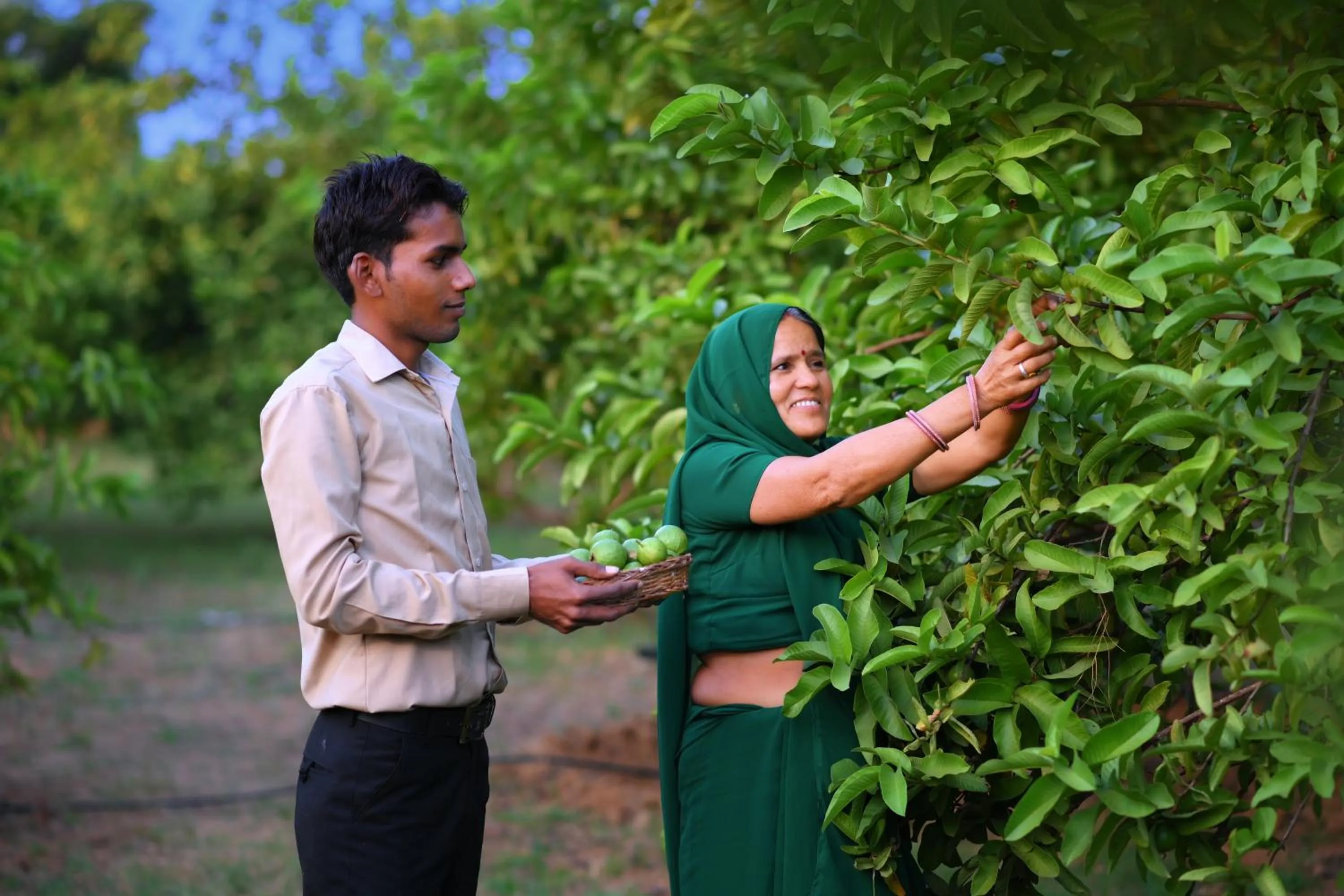 Garden in The Pugmark, A Wildlife Resort