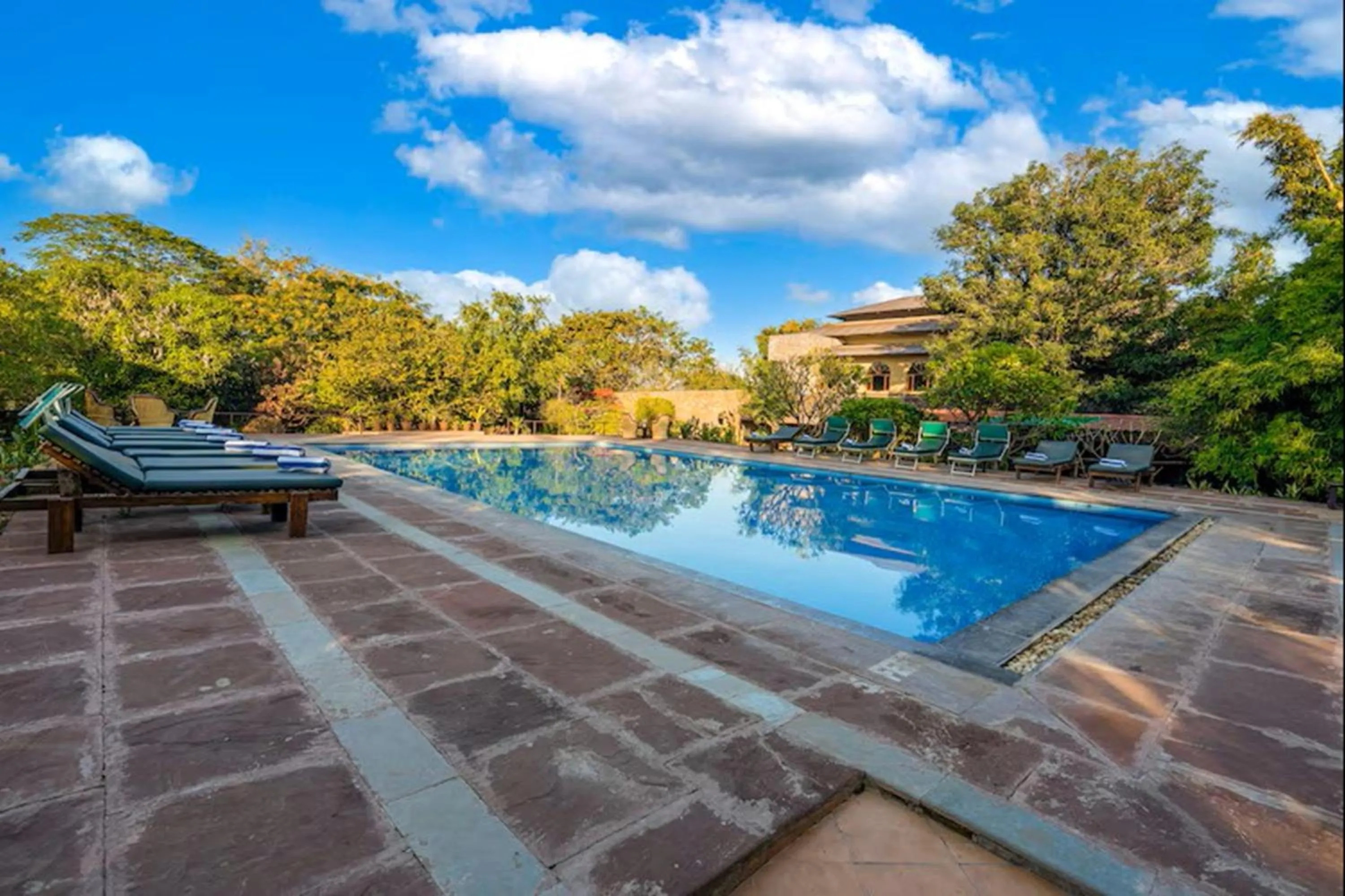 Swimming pool in The Pugmark, A Wildlife Resort
