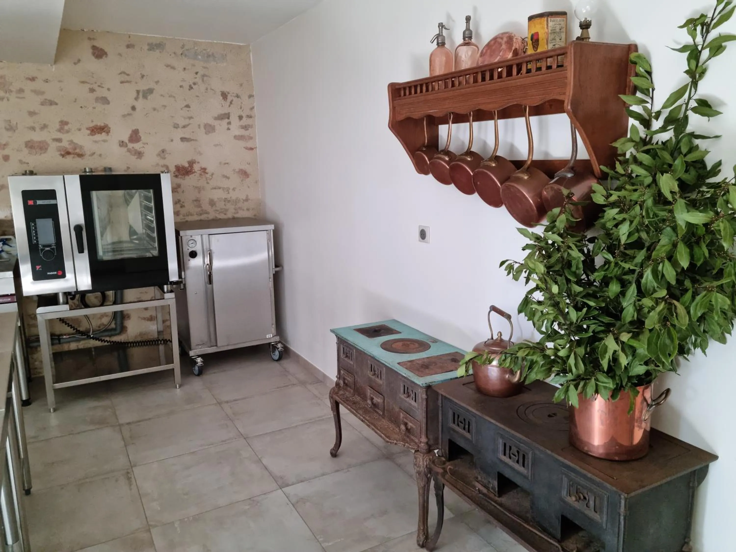 Kitchen or kitchenette in Château de la Cressonnière