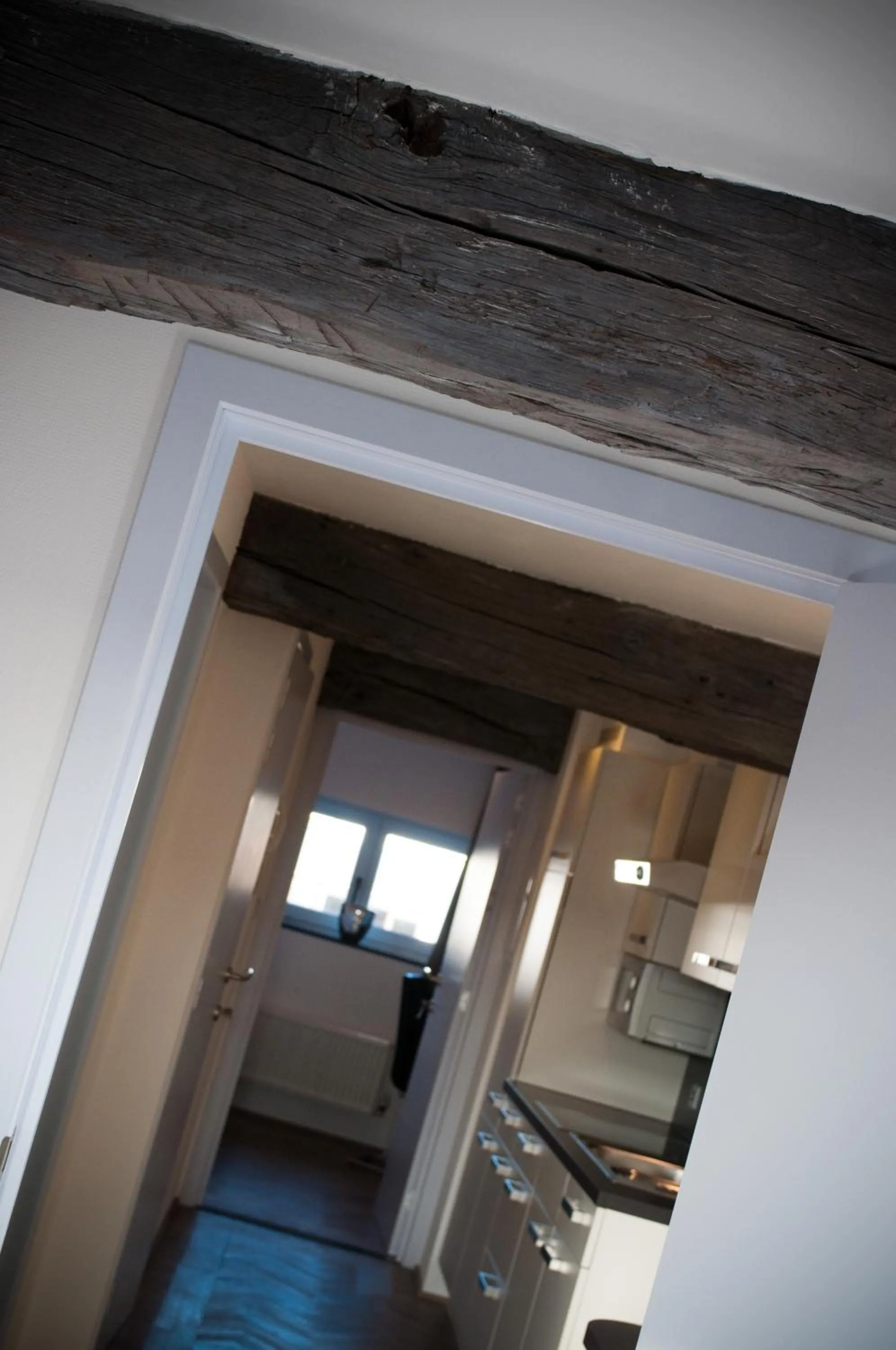 Apartment De Maasnacht