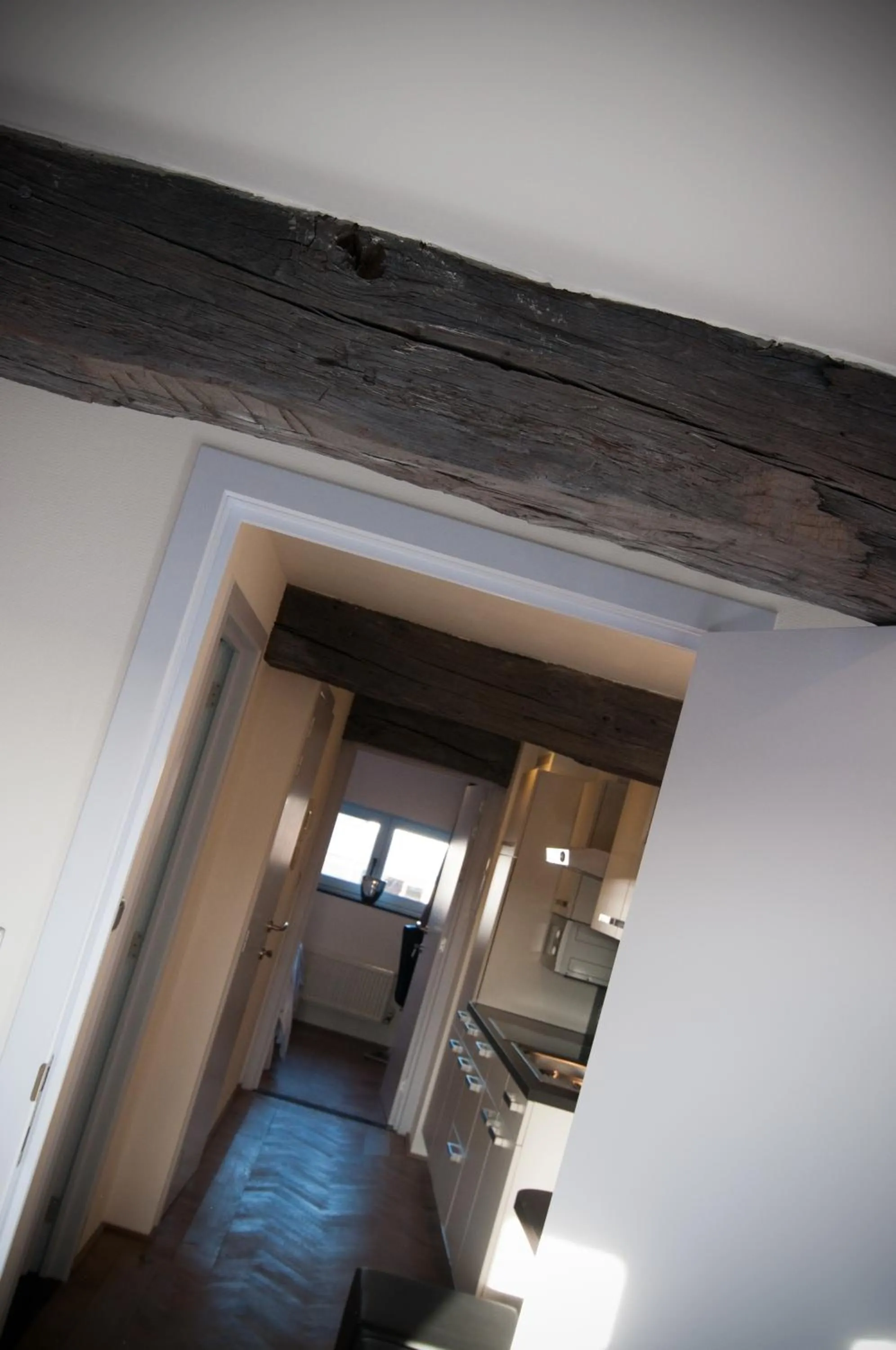 Apartment De Maasnacht