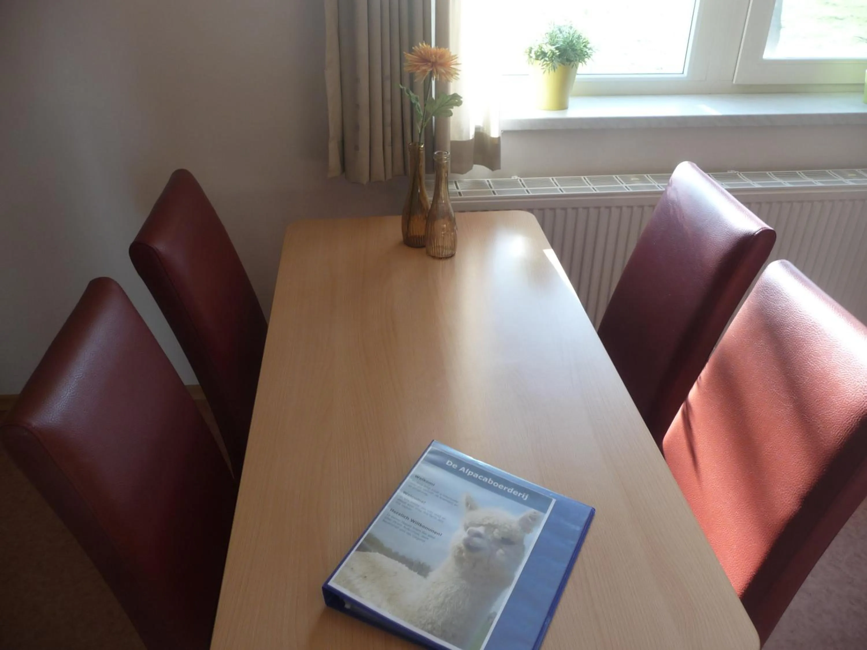 Two-Bedroom Apartment (4 Adults) in De Alpacaboerderij