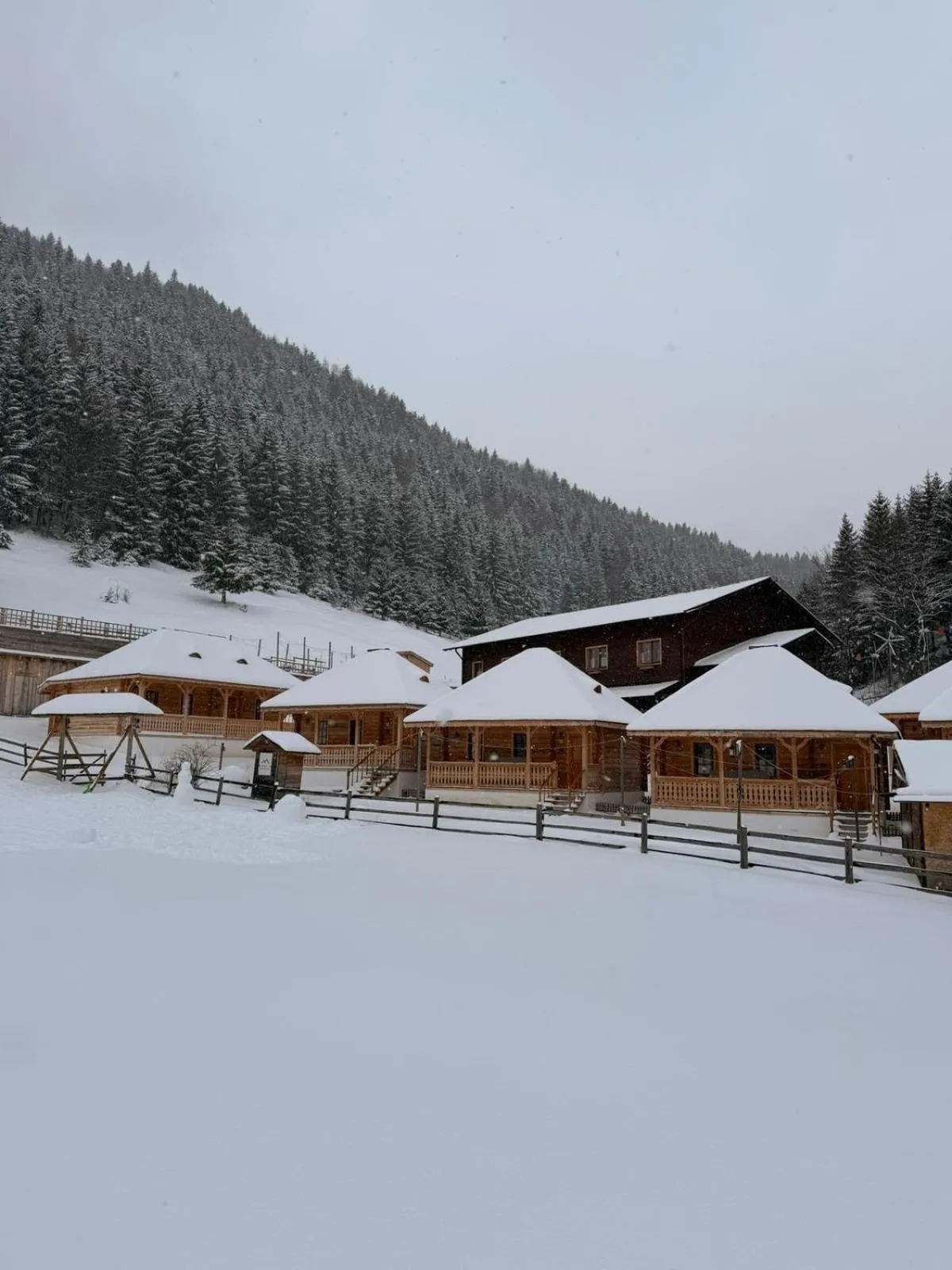 Andolia