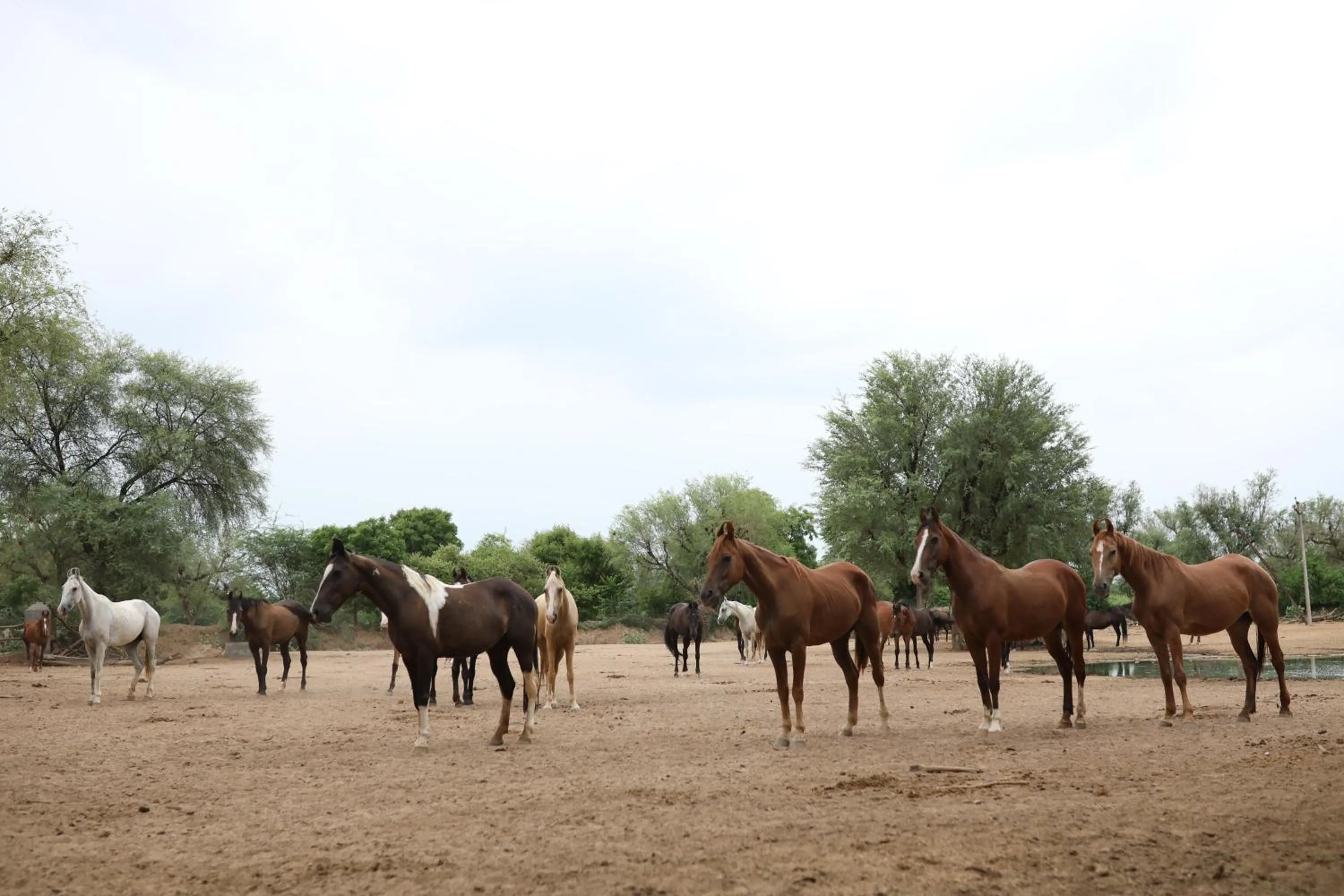 Property building in Roop Niwas Kothi, Near Mandawa