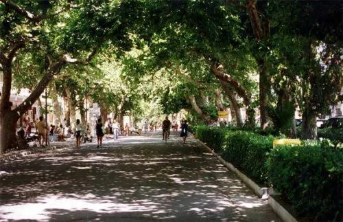 Quiet street view in Porto di Mare