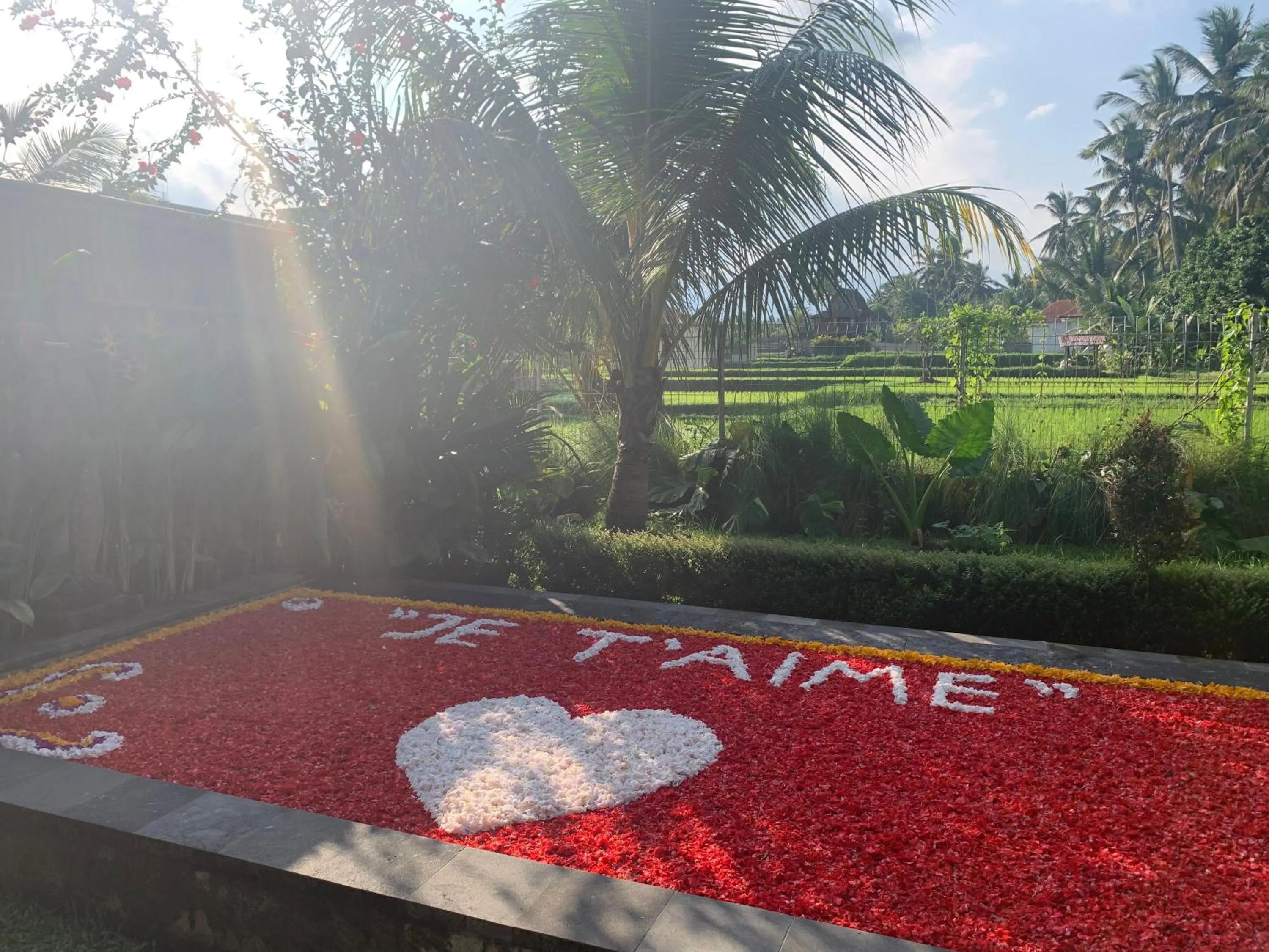 Swimming pool in Poka Ubud Hidden Paradise & Spa by EPS