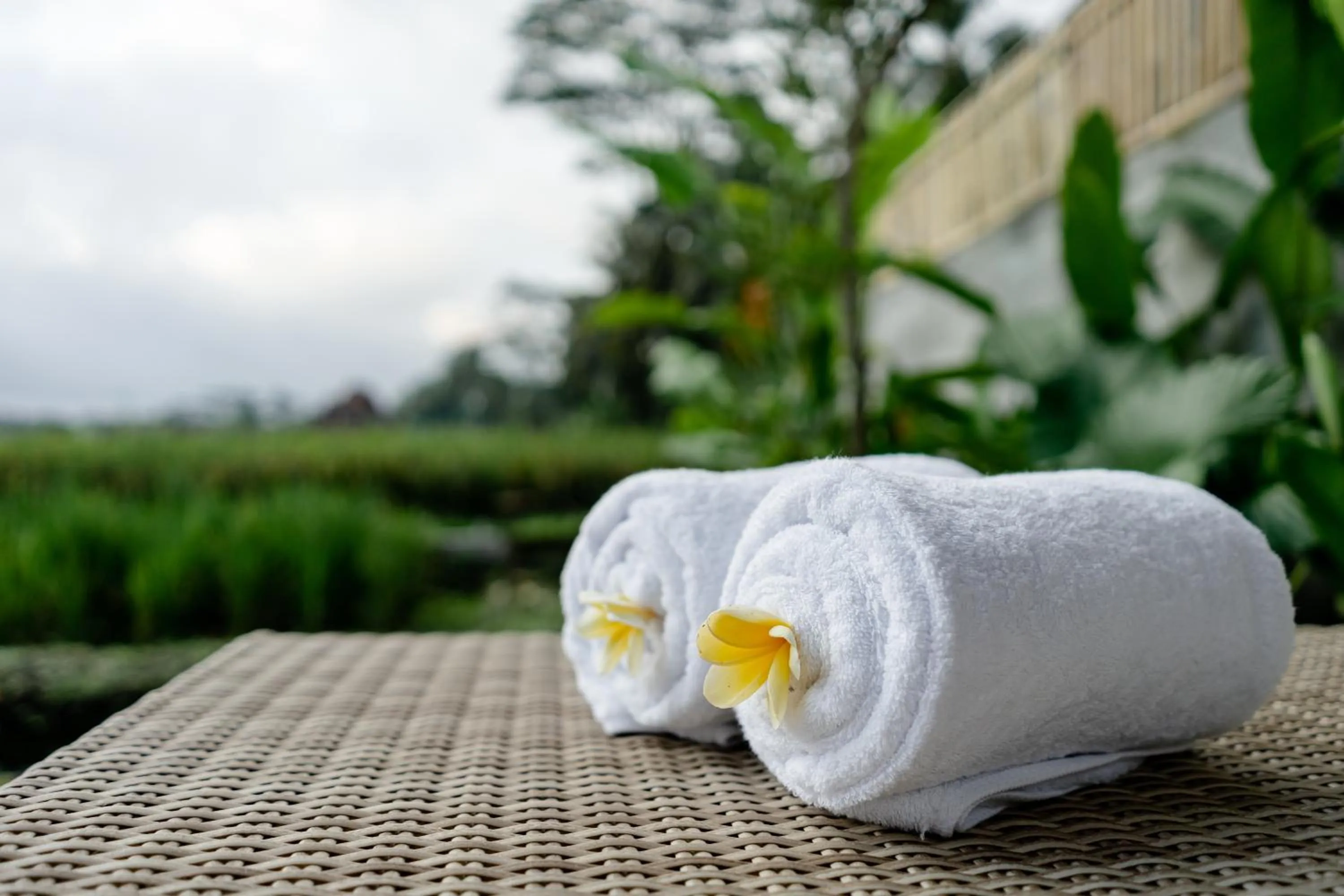 Spring in Poka Ubud Hidden Paradise & Spa by EPS