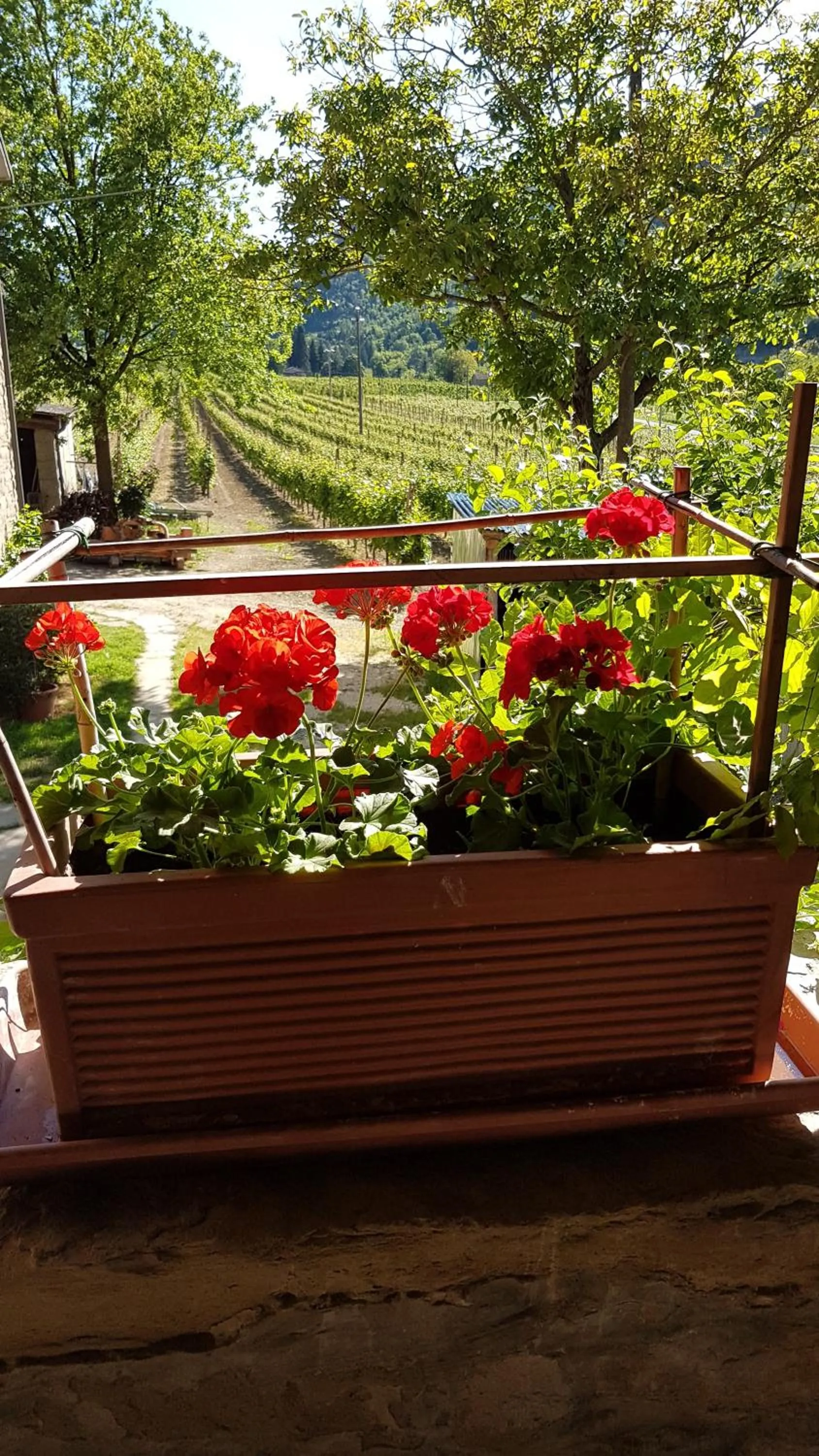 Property building in #FortCozzo - JacuzziSuite & Sauna - Casola Valsenio