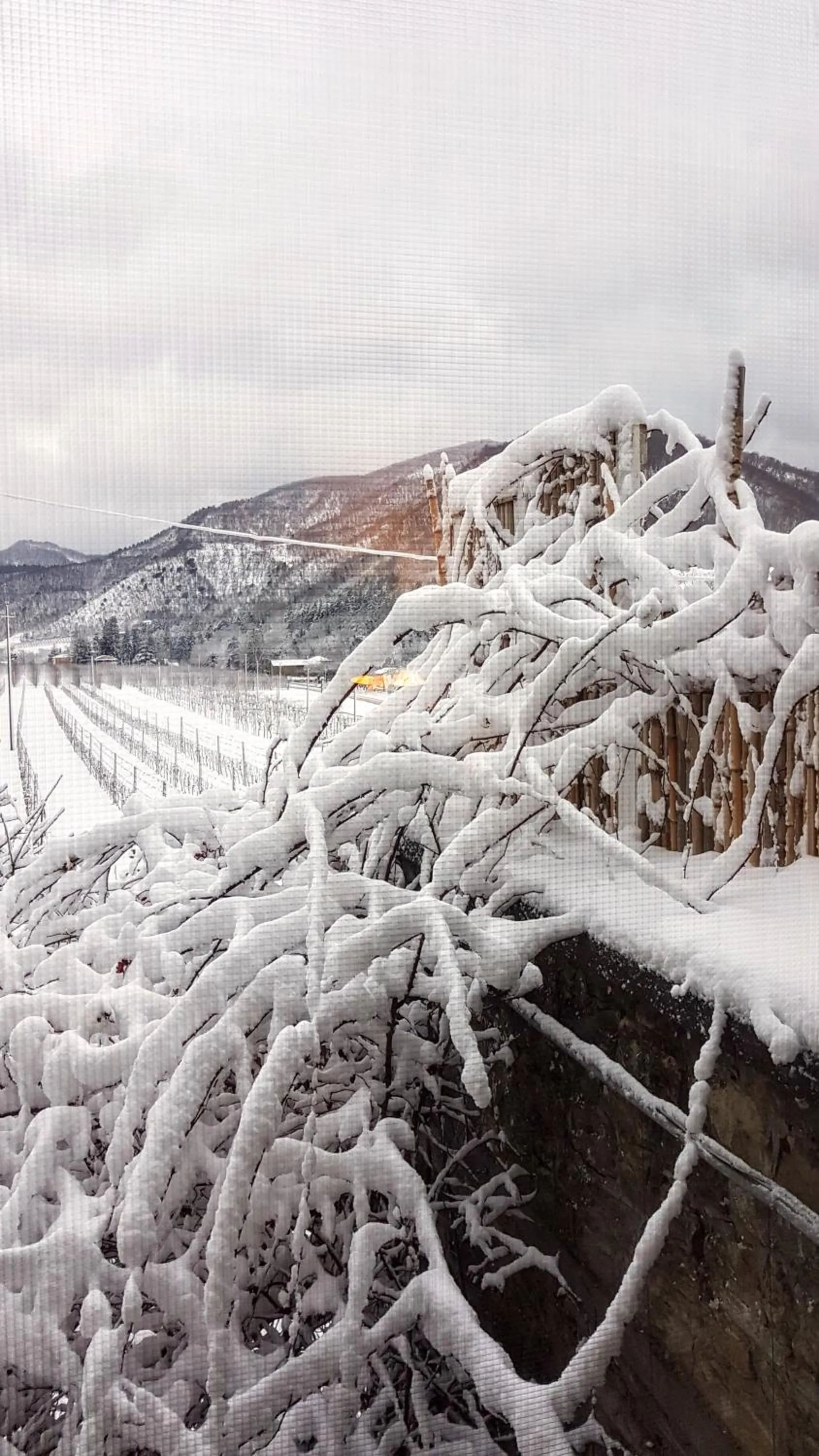 Natural landscape in #FortCozzo - JacuzziSuite & Sauna - Casola Valsenio