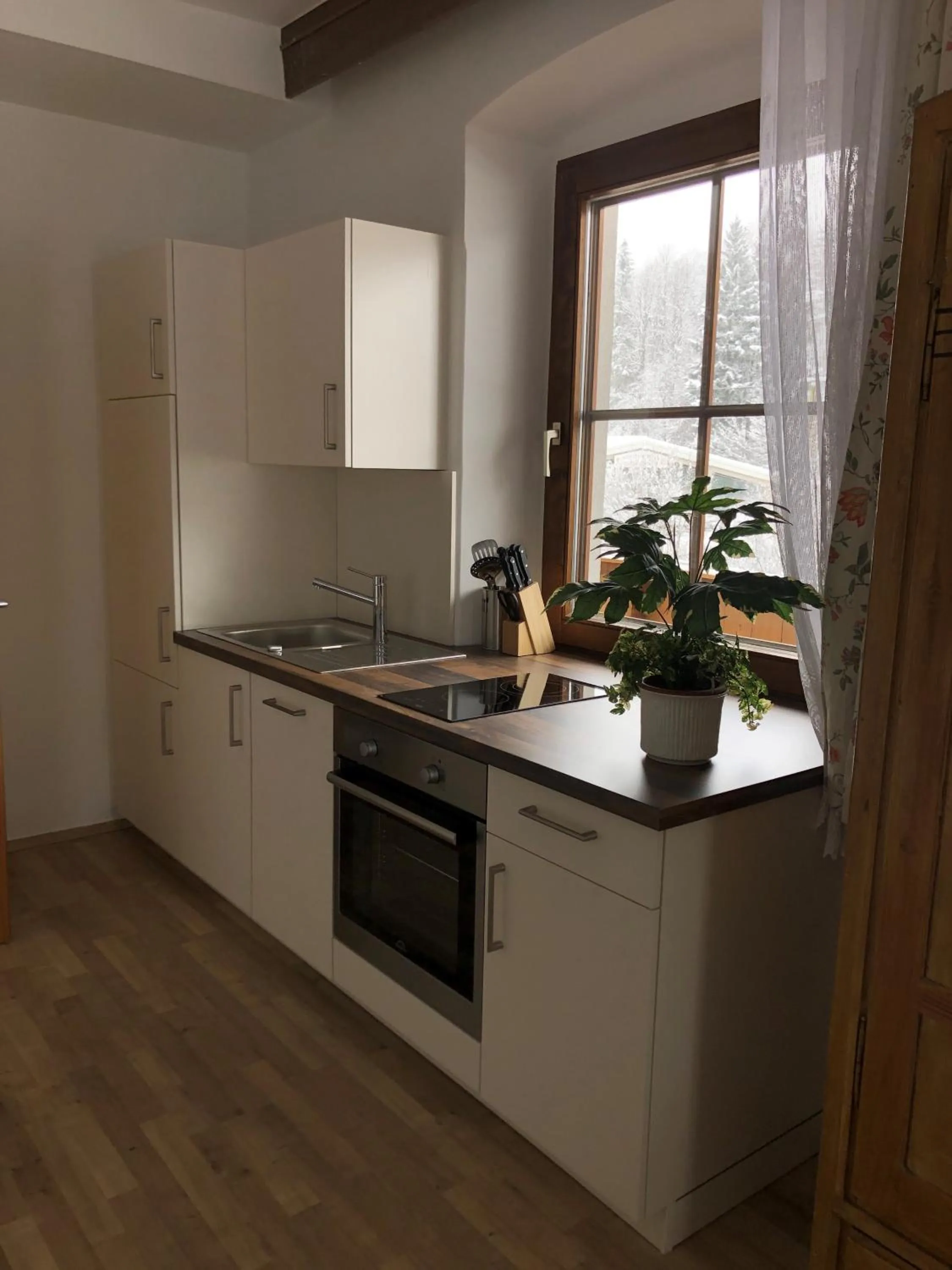 Kitchen or kitchenette in Egerbach Appartements