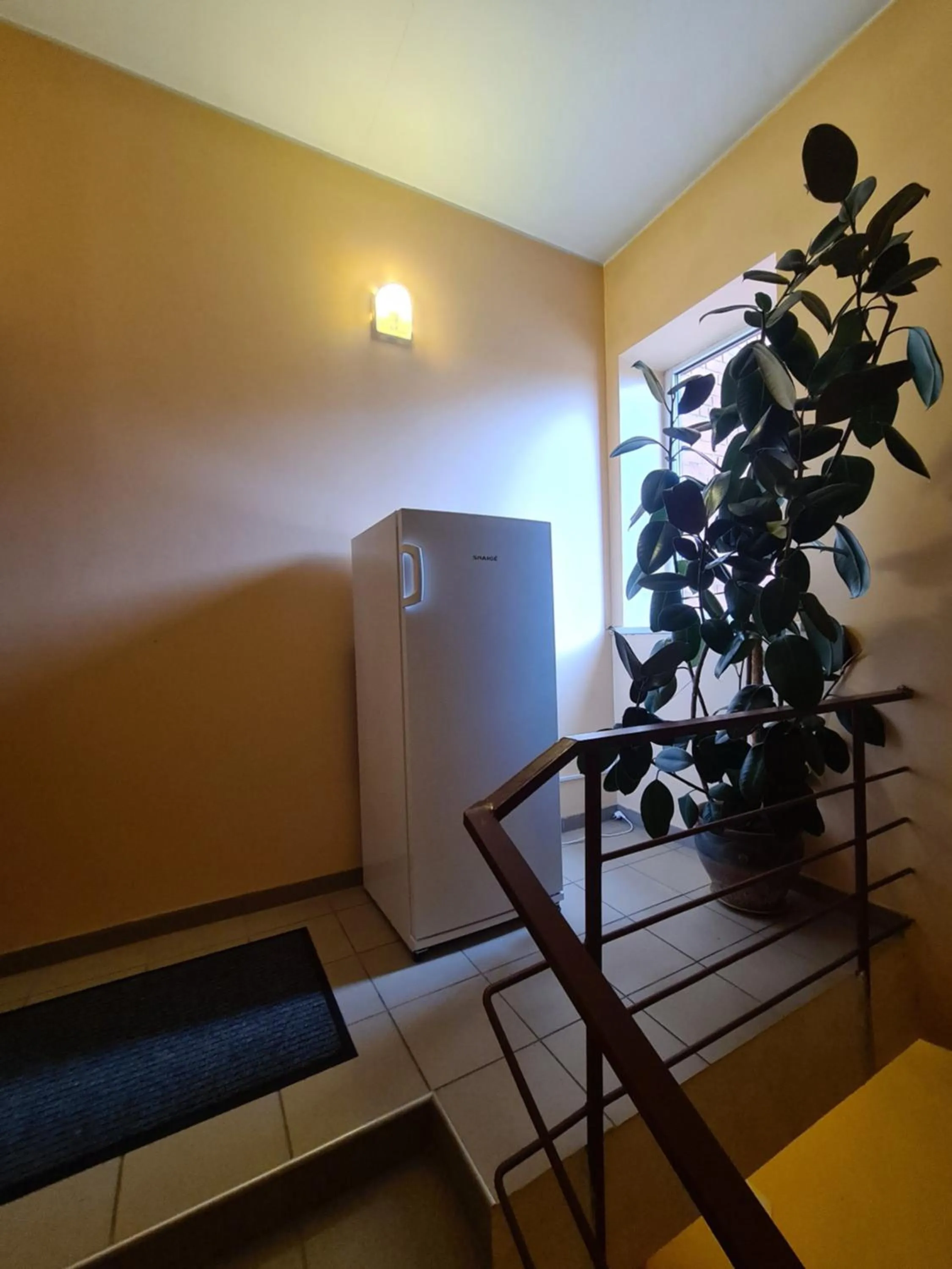 Property building in Meldynas