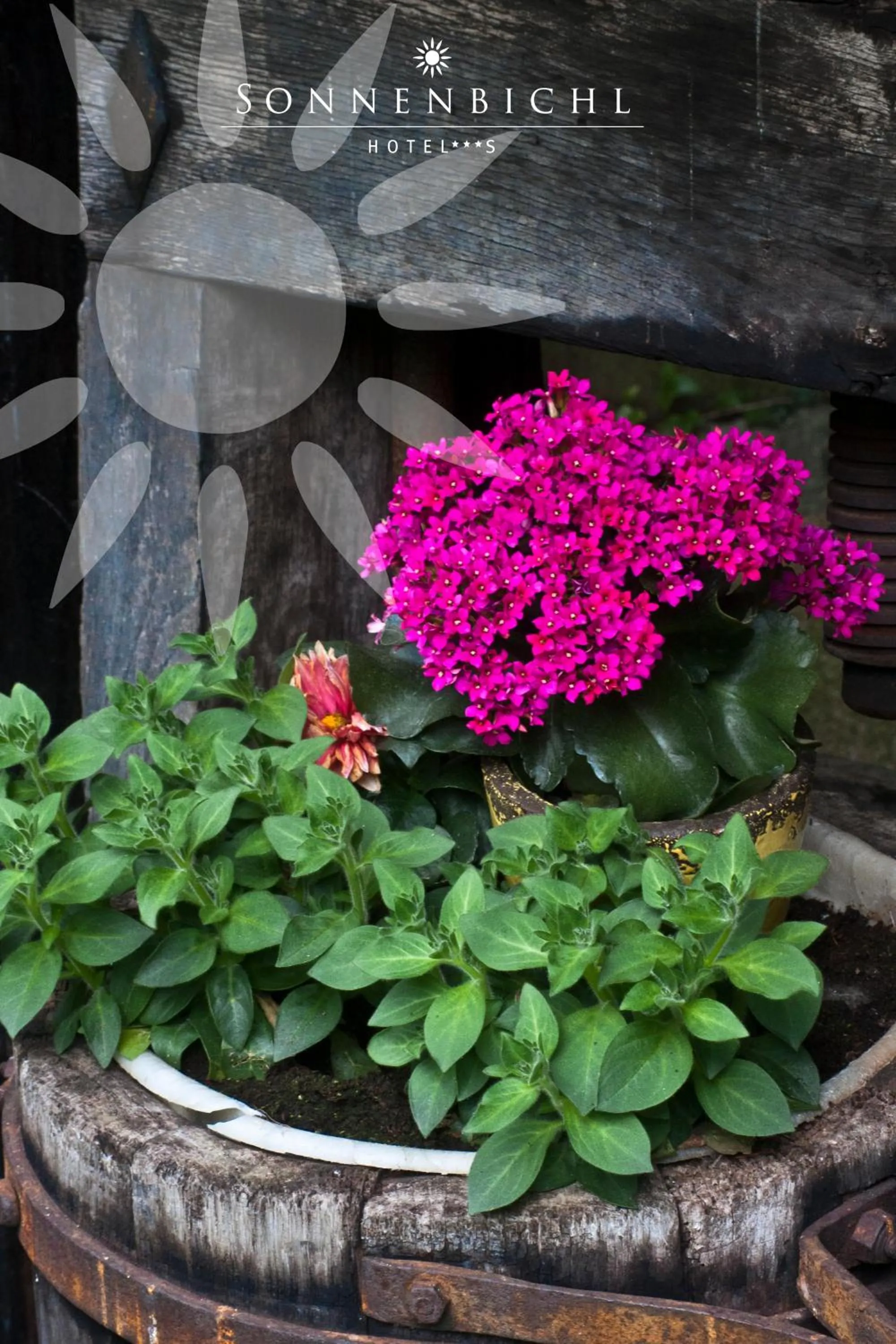 Garden in Hotel Sonnenbichl