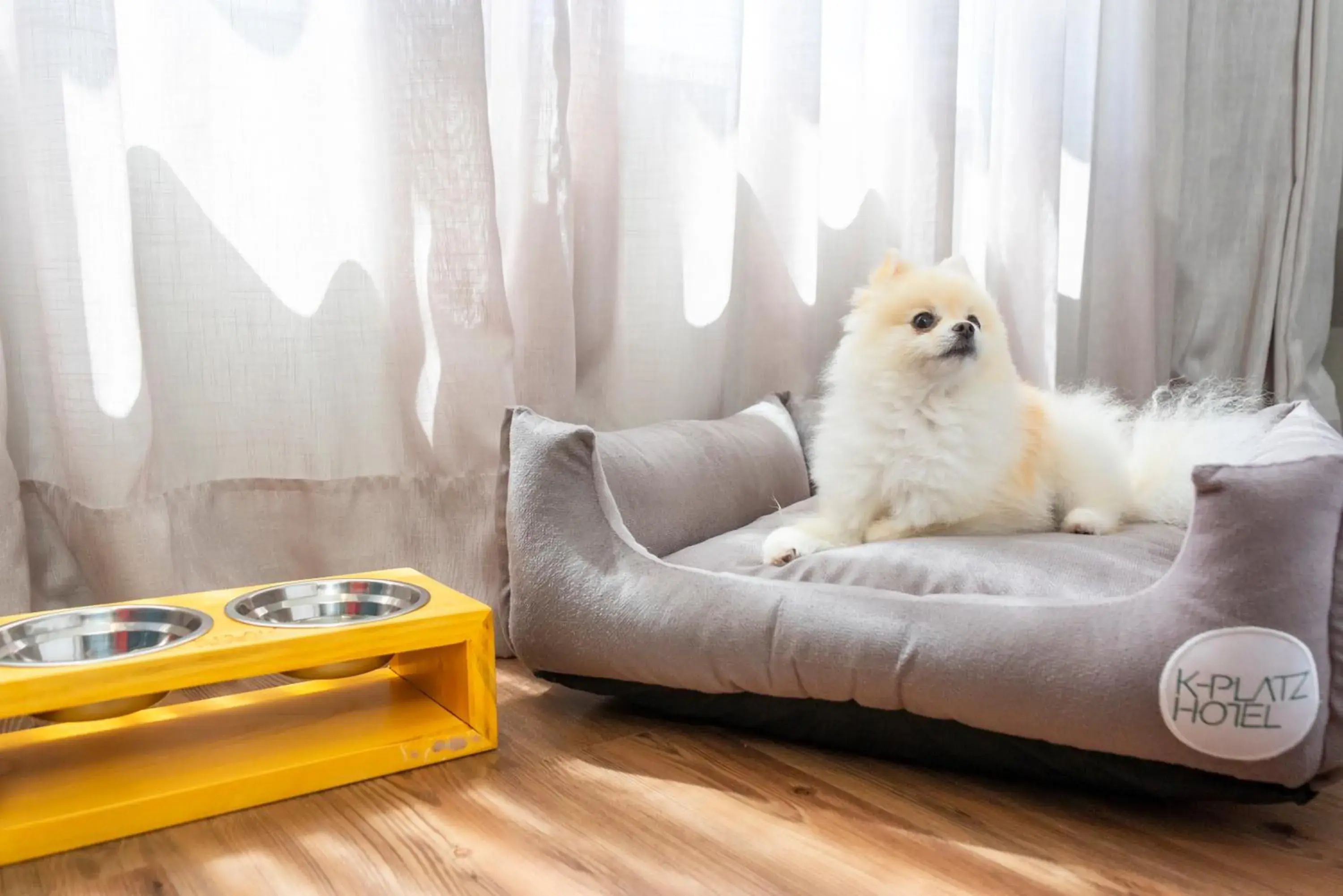 Living room in K-Platz Hotel Living room in K-Platz Hotel