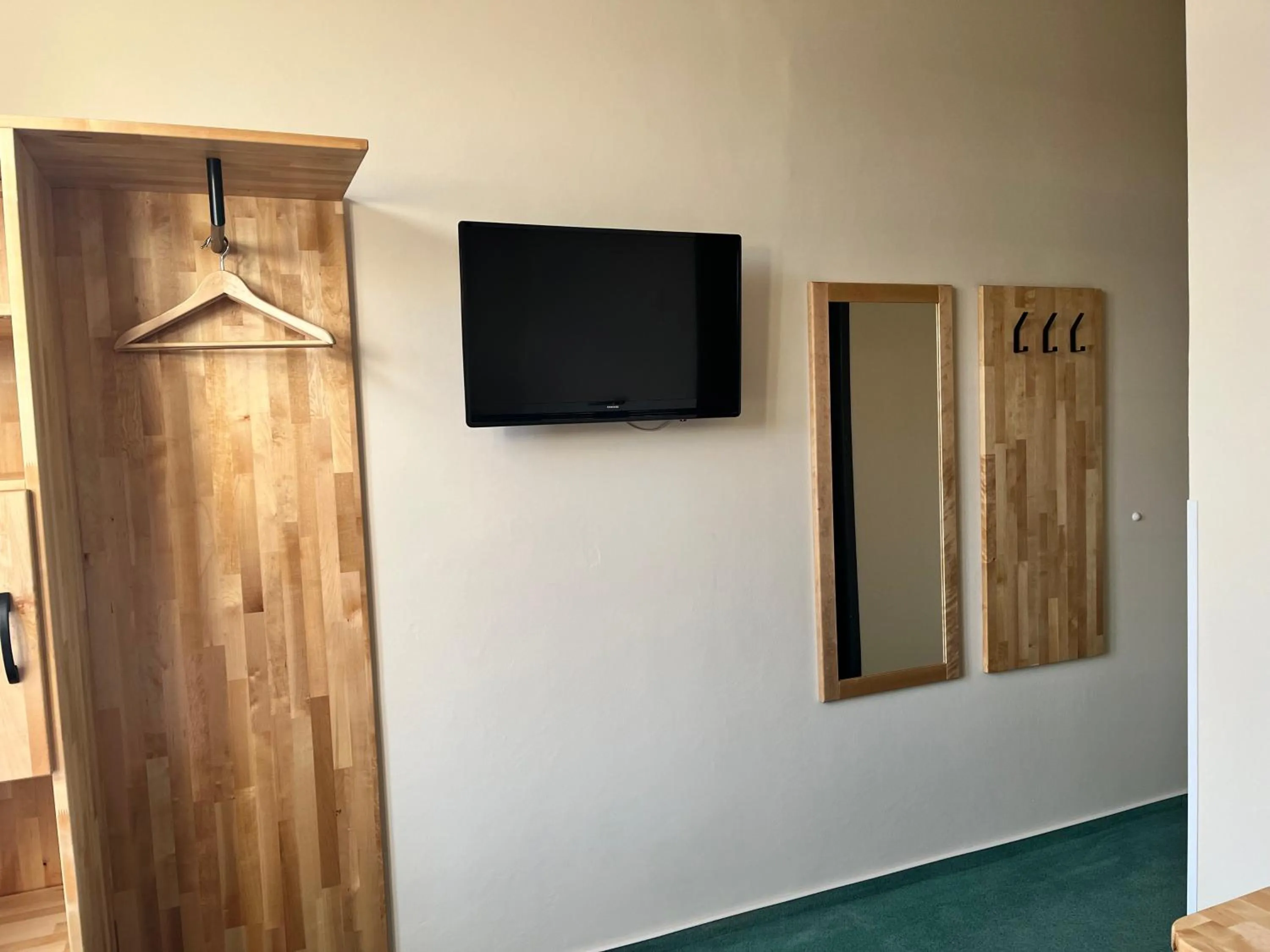 TV and multimedia in Biohotel Amadeus