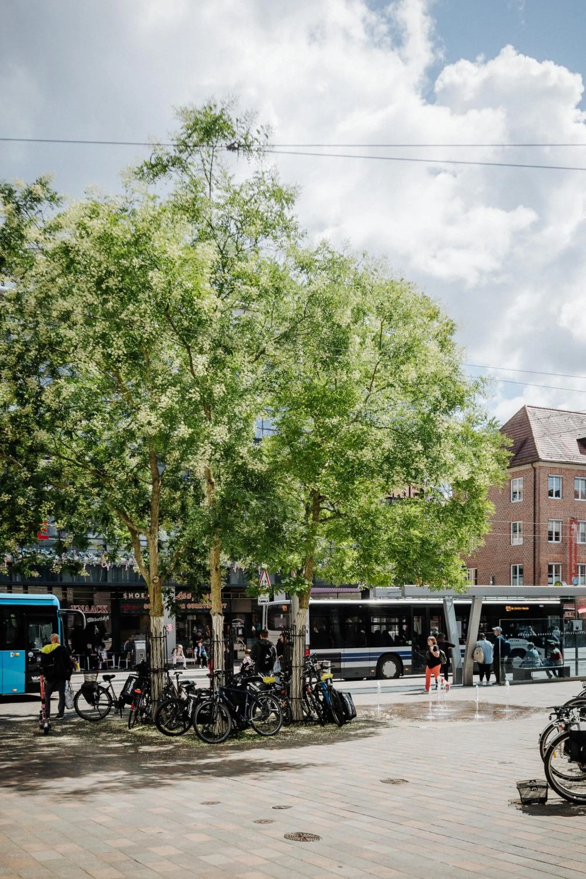 Activities in Biohotel Amadeus