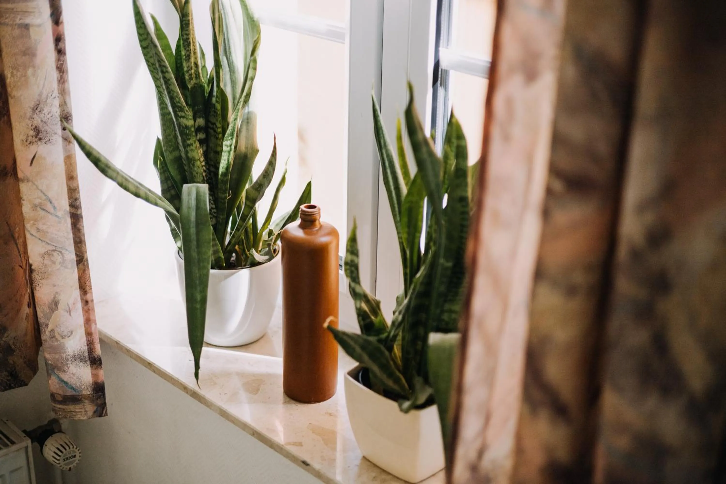 Decorative detail in Biohotel Amadeus