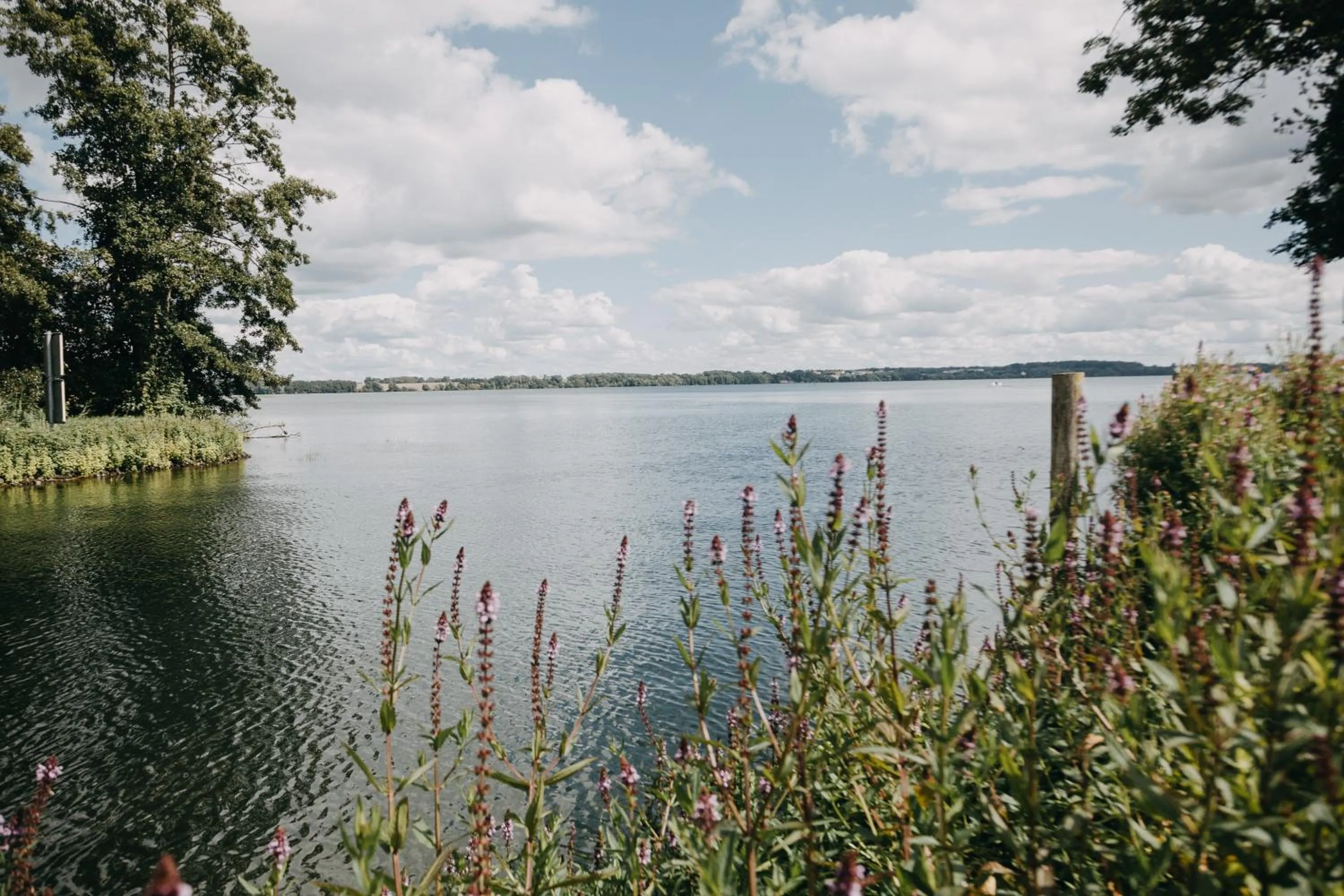 Activities in Biohotel Amadeus