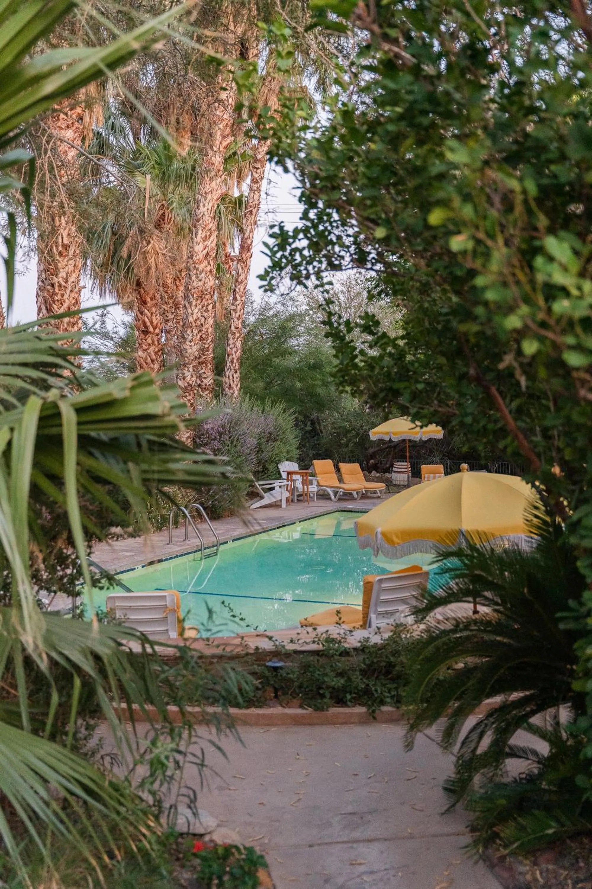 Garden view in The Good House- Hot Spring Hideaway