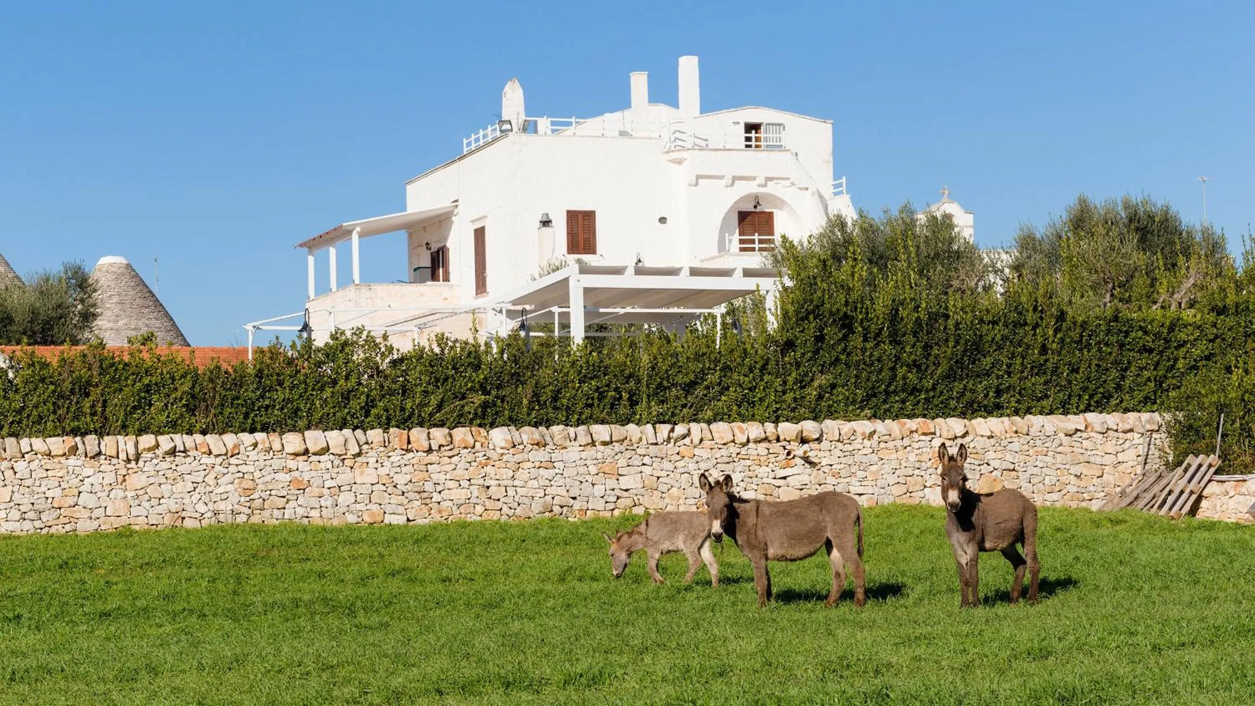 Animals in Masseria Madonna dell'Arco Agriturismo