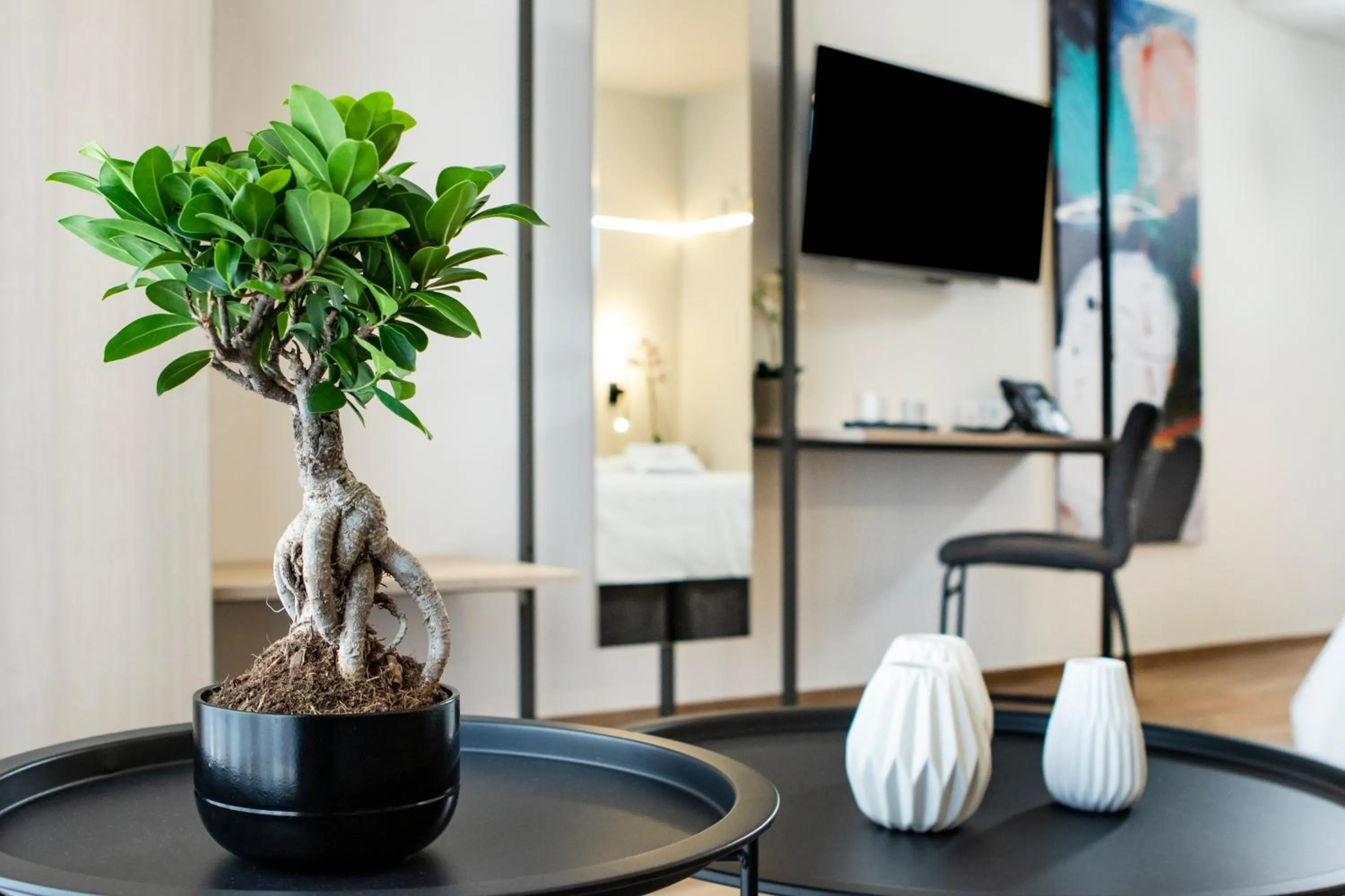 TV and multimedia in Local Urban Living