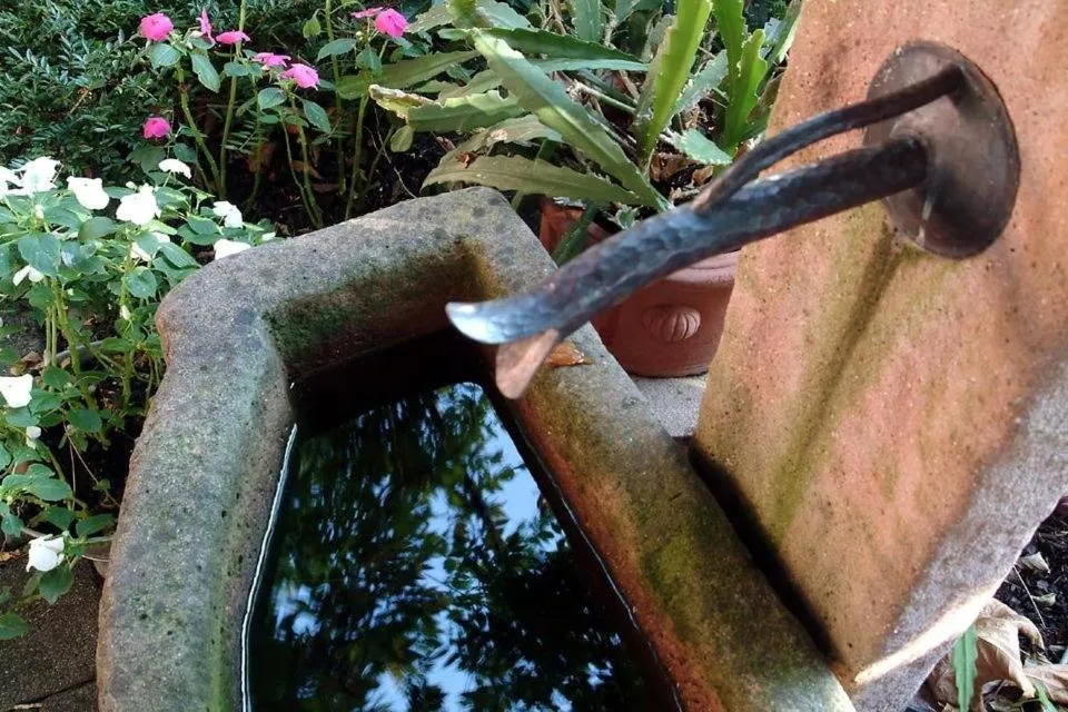 Garden in Hotel Höllsteiner Hof