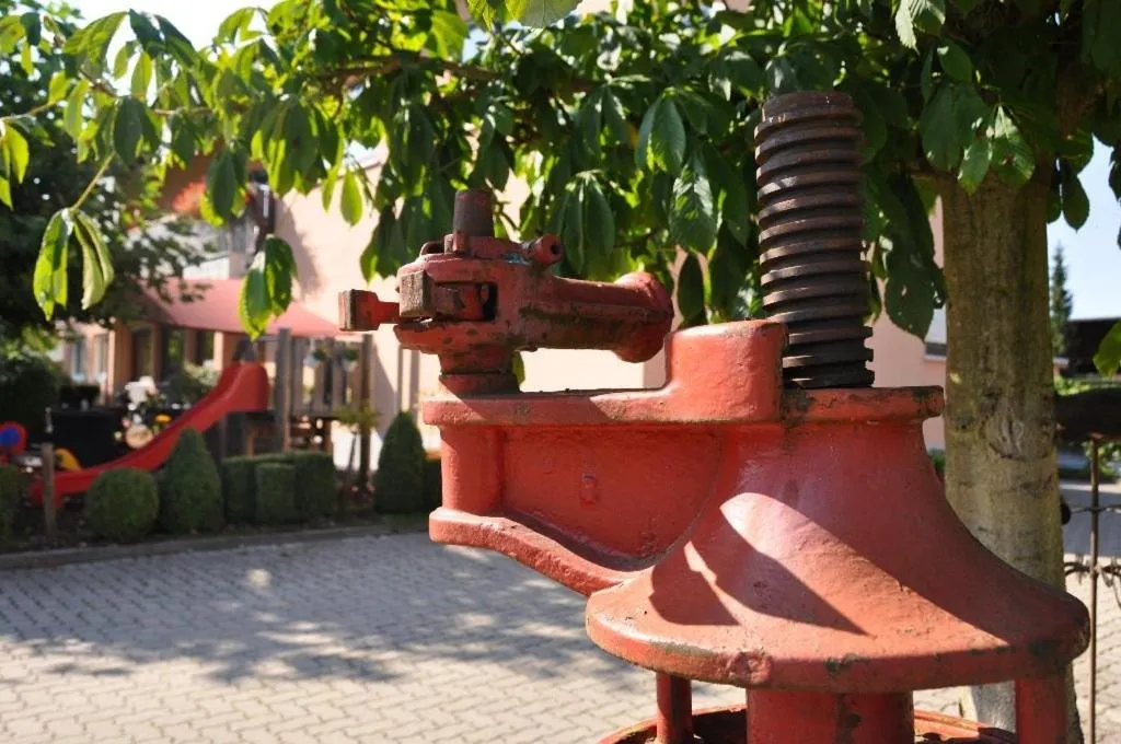 Garden in Hotel Höllsteiner Hof
