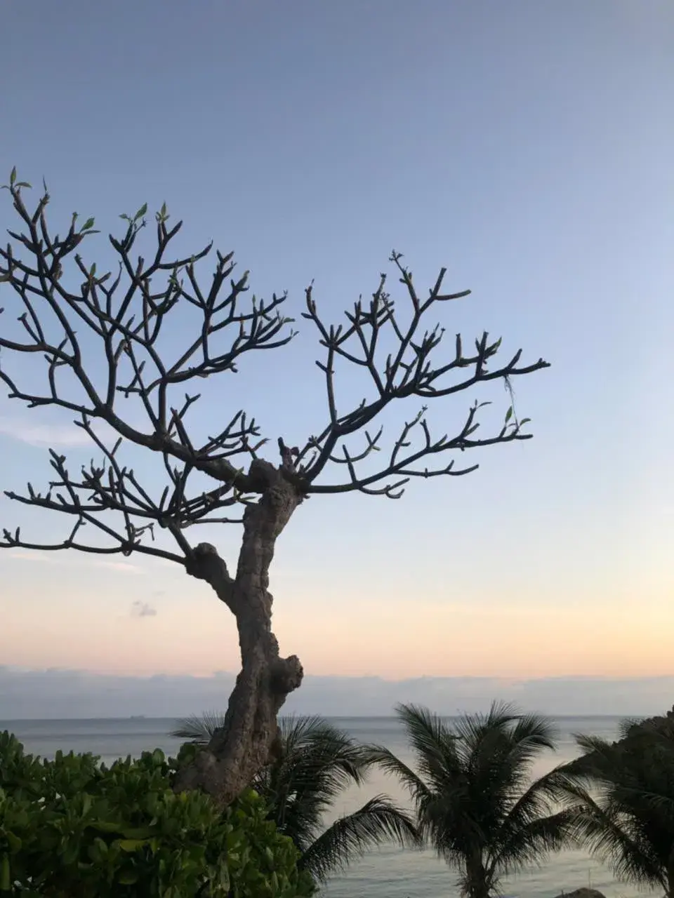 View (from property/room) in Orson Hotel & Resort Con Dao View (from property/room) in Orson Hotel & Resort Con Dao