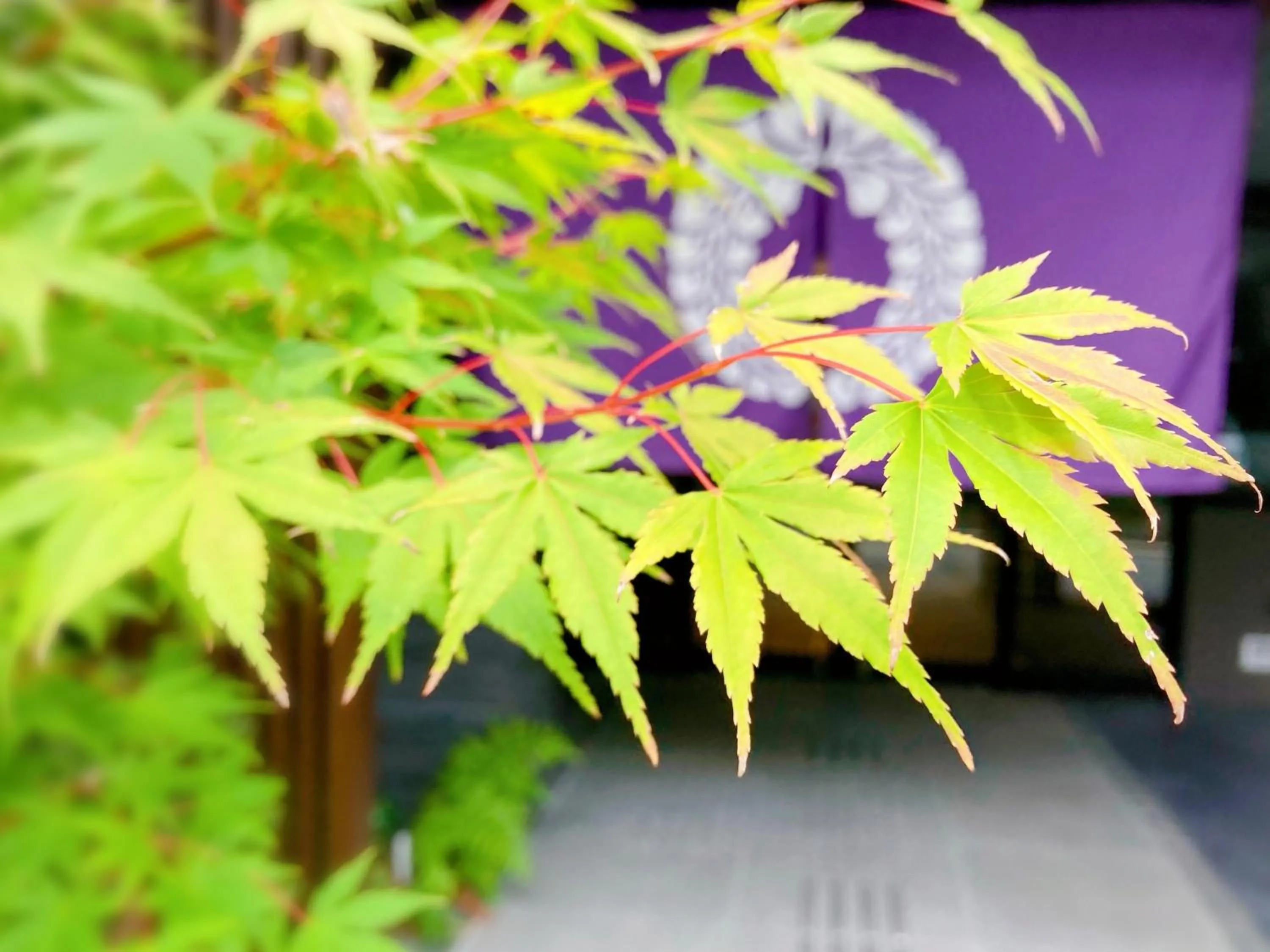 Property building in Fuji Hotel Kyoto Gojo