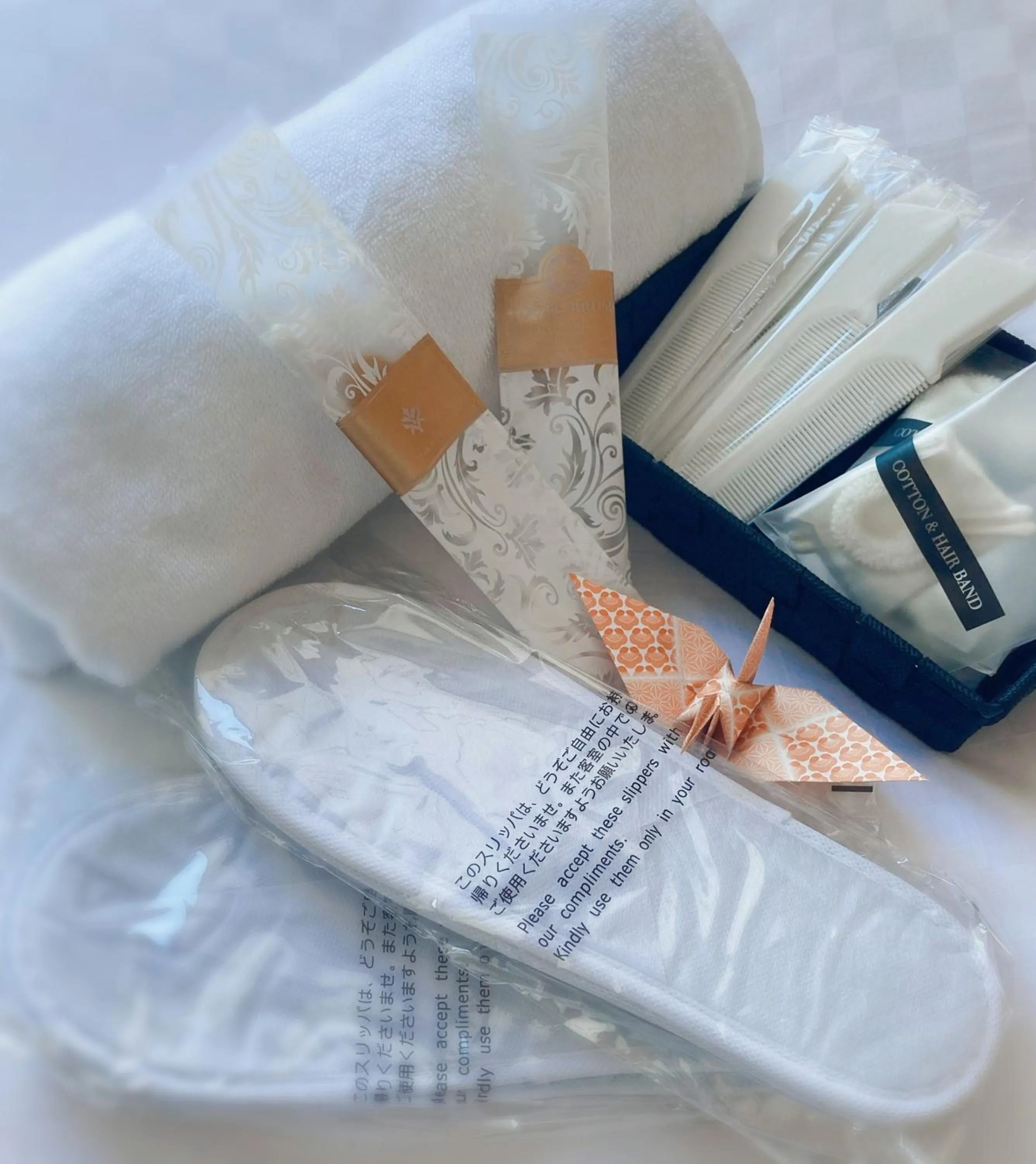 Other in Fuji Hotel Kyoto Gojo